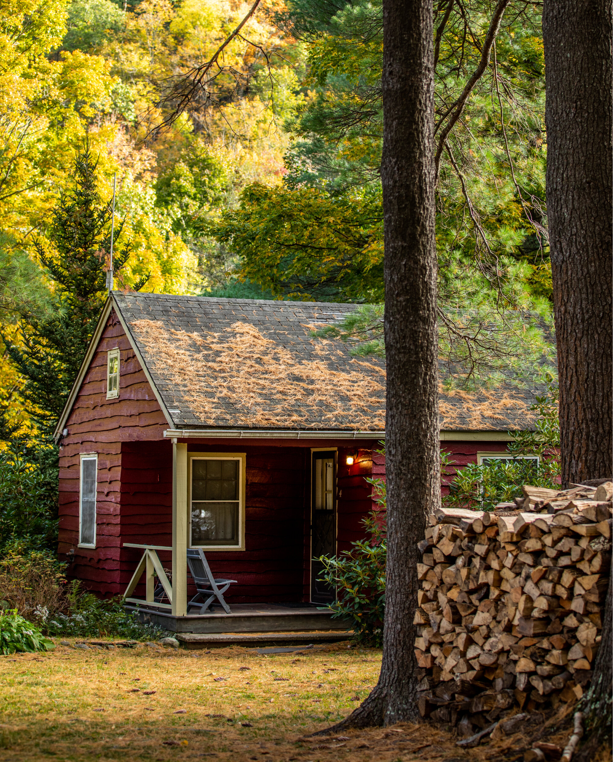 Cottages — Phoenicia Lodge