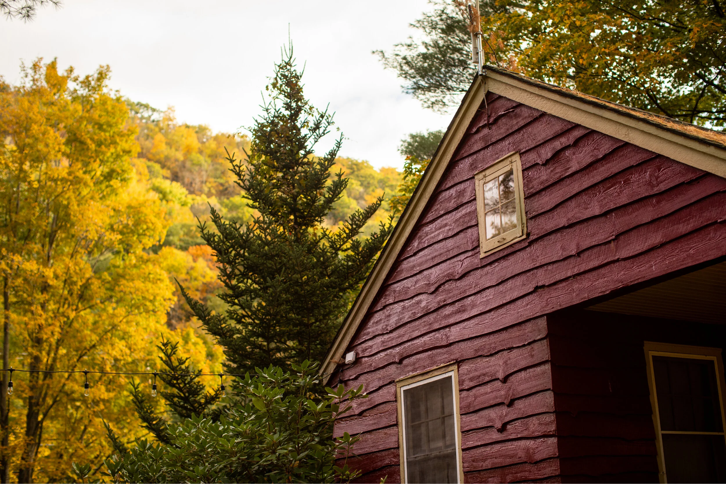 Gallery — Phoenicia Lodge