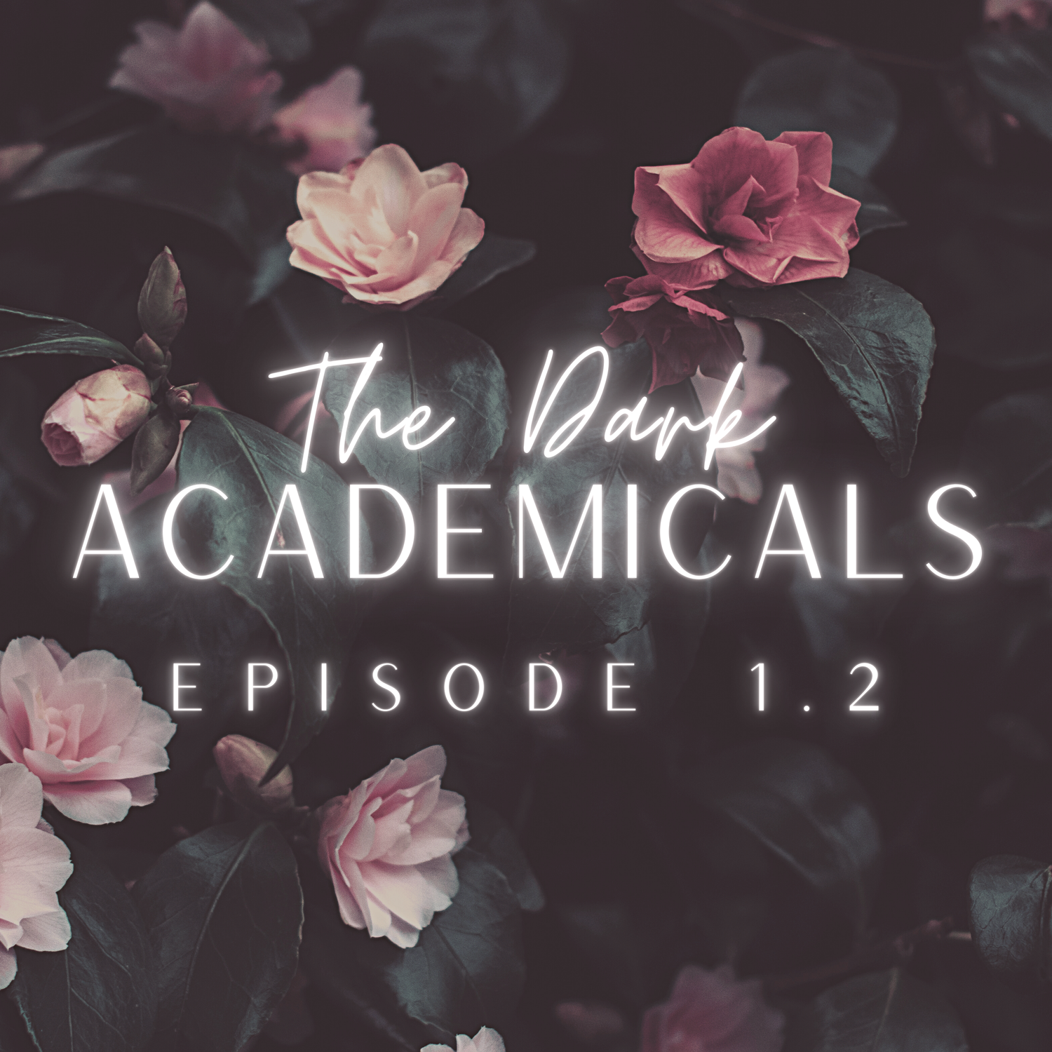 Episode 1.2: ‘The Secret History’ by Donna Tartt episode artwork