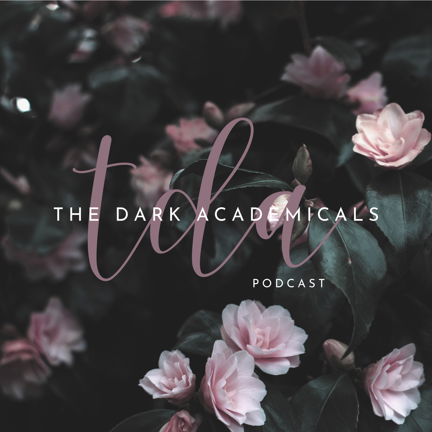 Episode 9.5: ‘The Four’ by Ellie Keel episode artwork