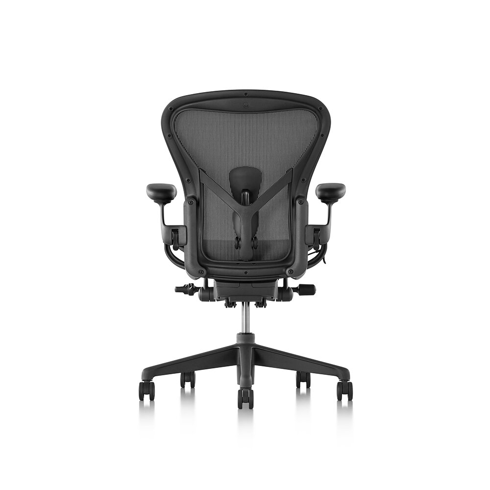 Aeron-Graphite-Herman Miller-back.jpg
