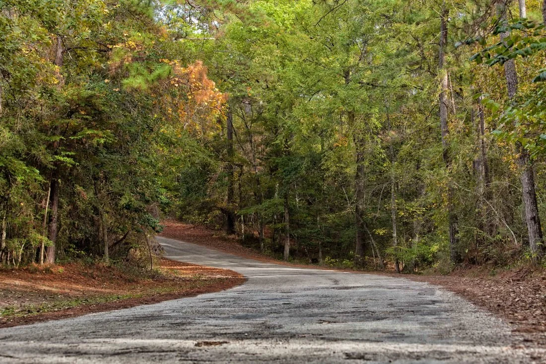 Getting Here | Road to Camp Allen.jpeg