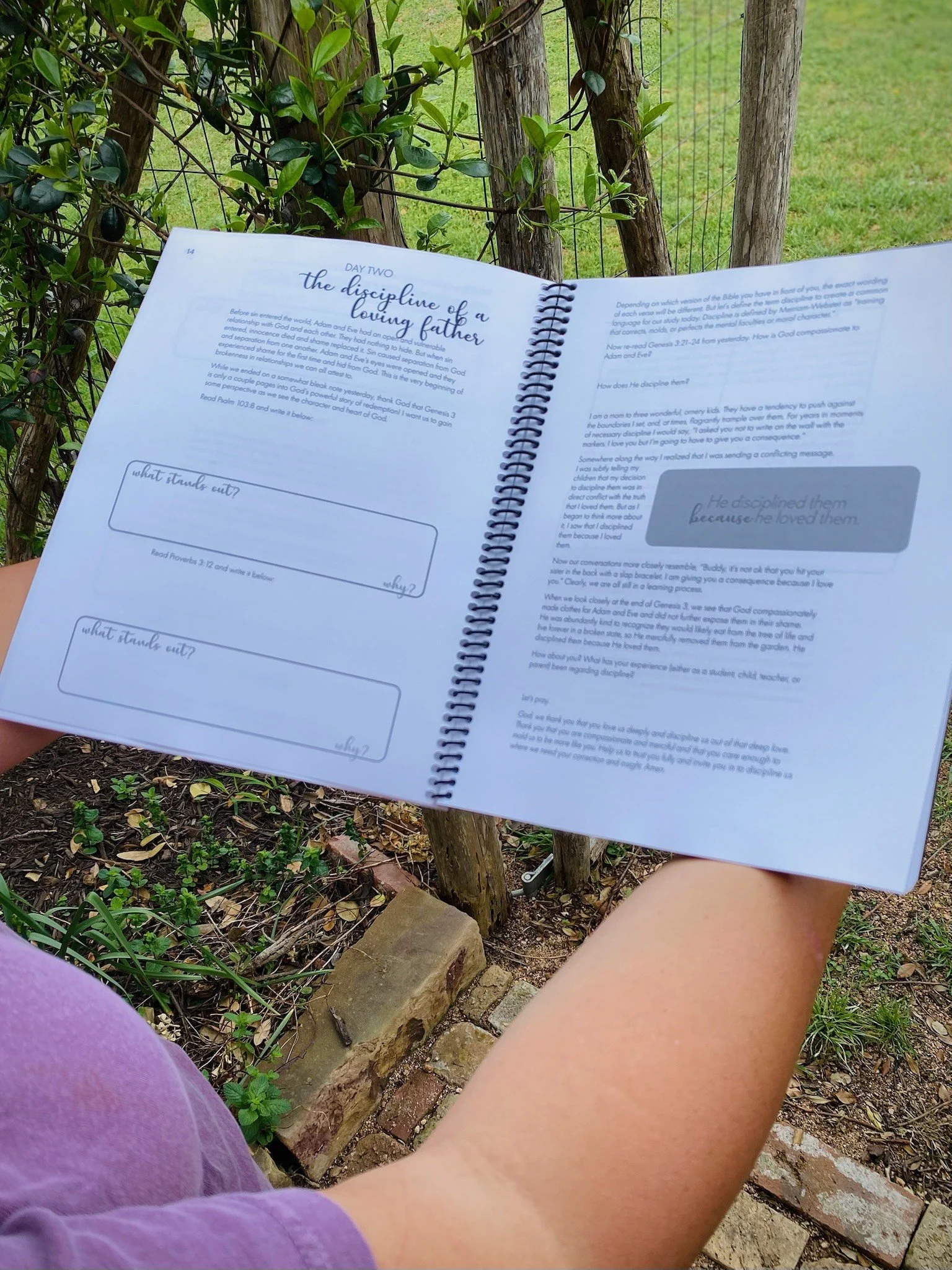 Relationships Study—Inside Pages 2.JPG