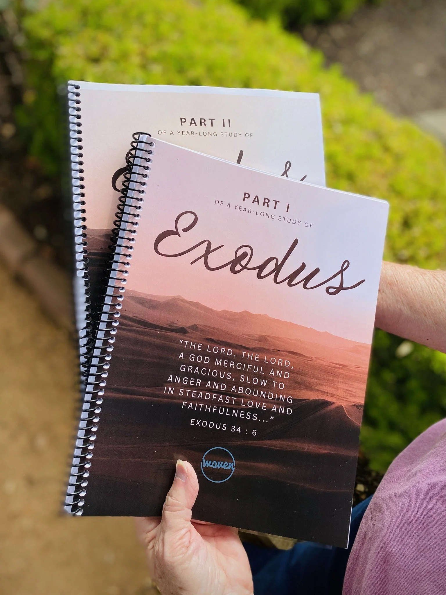 Exodus Bible Study | Part I