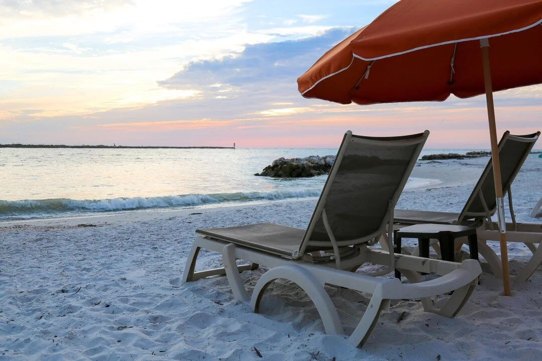 Are Dogs Allowed On North Clearwater Beach