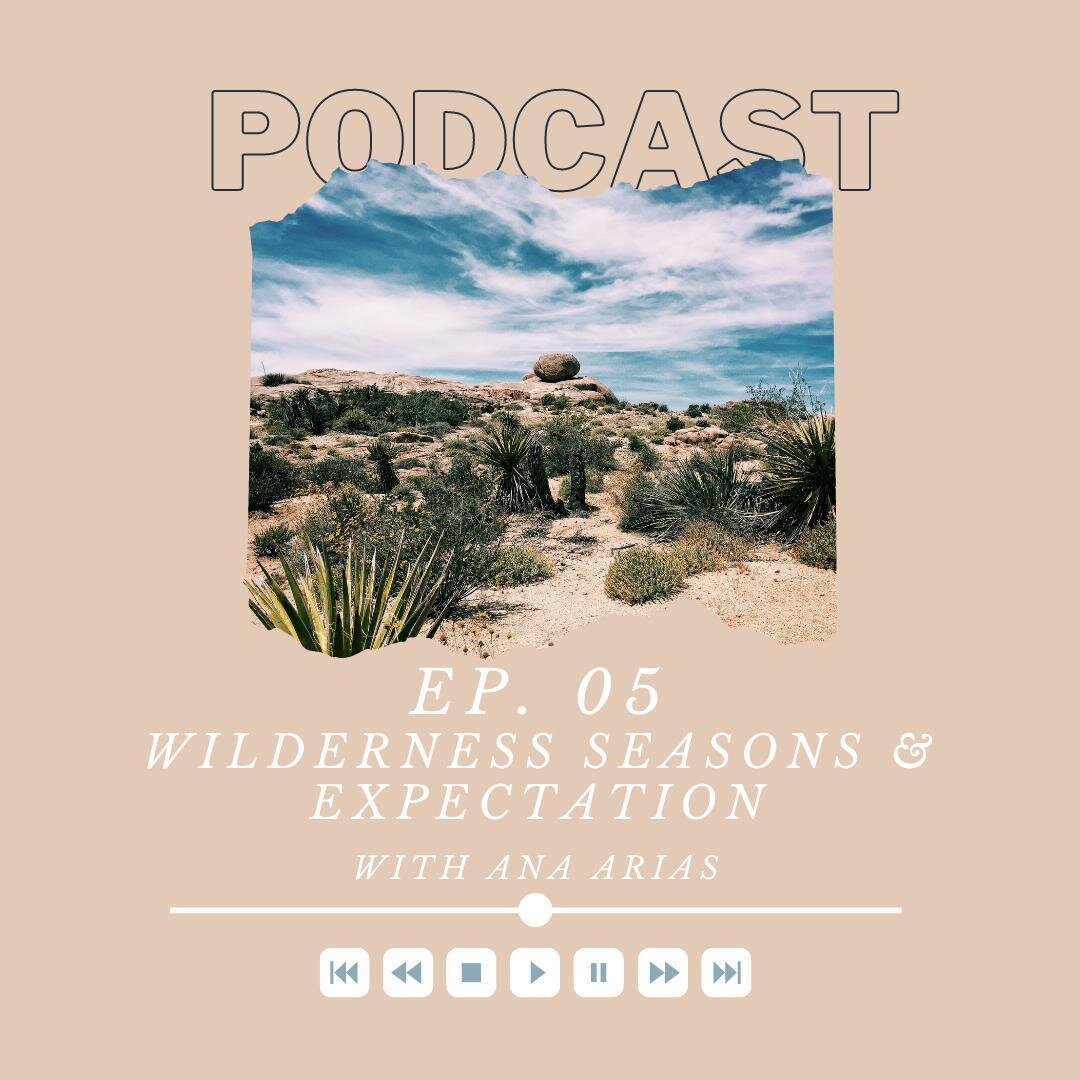 We've got a brand new podcast episode LIVE!⁠
⁠
In this episode, I sit down with Ana to talk about wilderness seasons. We both share wilderness seasons we have walked through and share the process both in and out. We talk about the importance of a hea