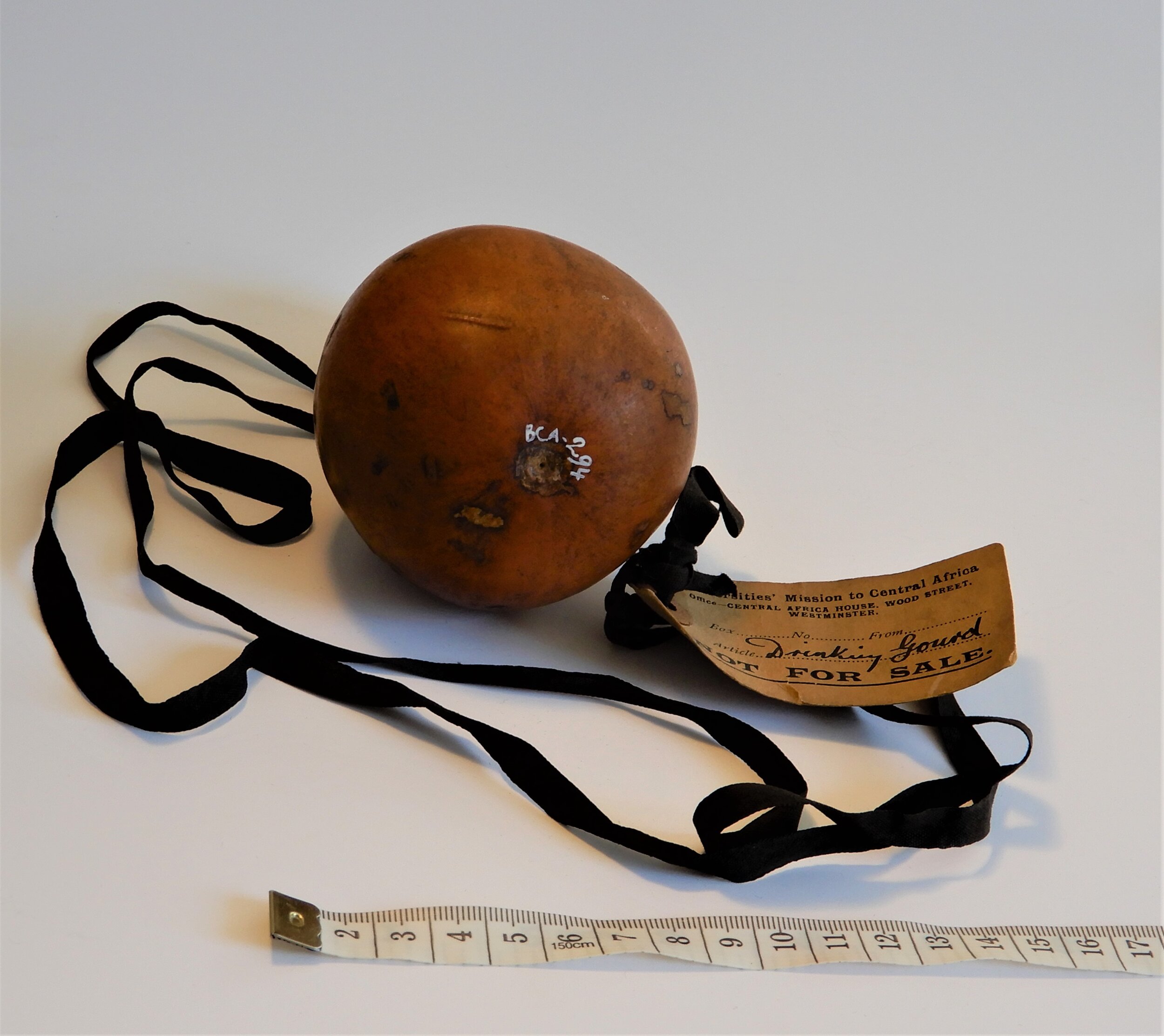  A medium brown gourd viewed from the base. In the photo there is an old-fashioned measuring tape closer to the viewer. 