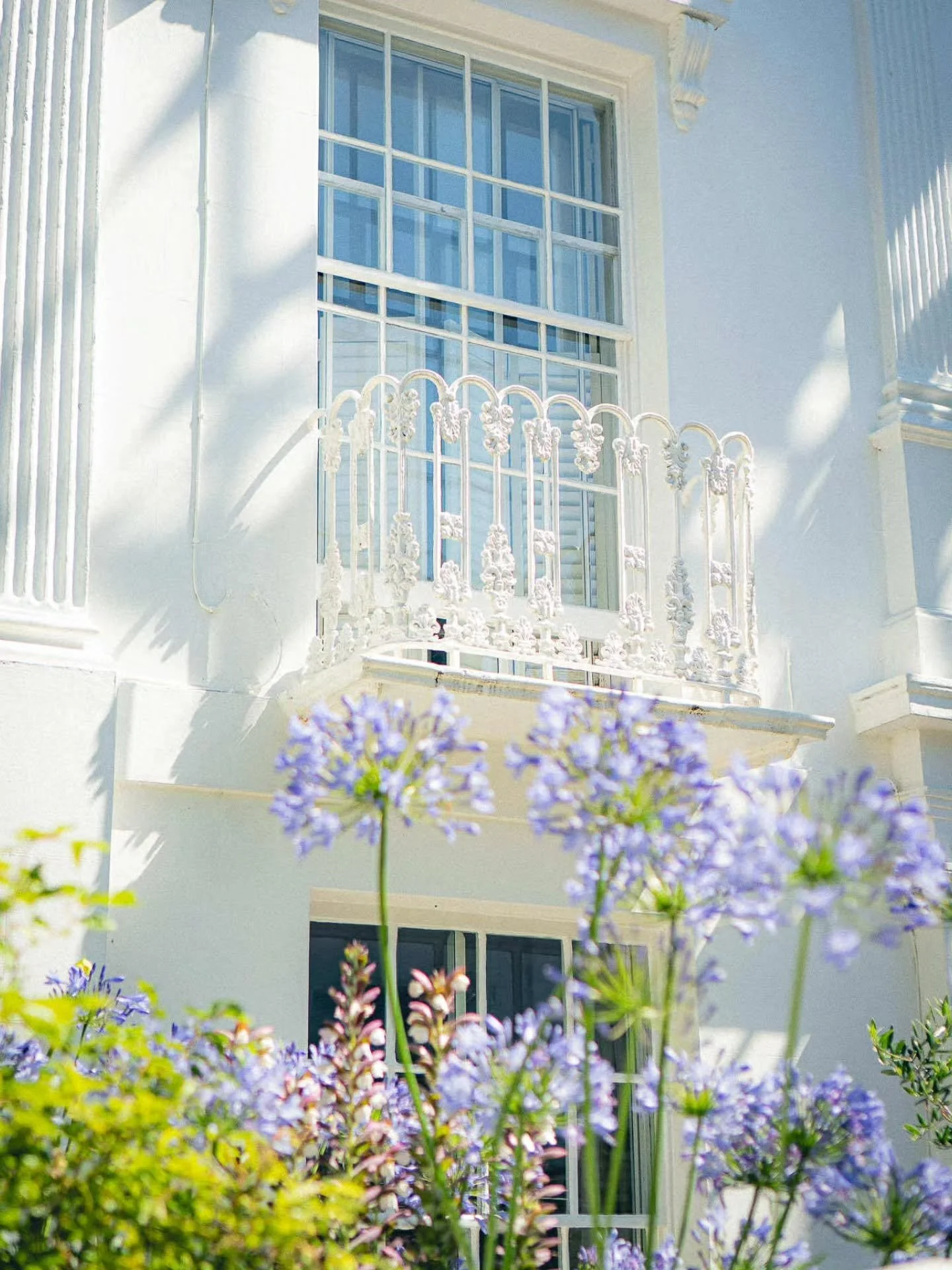 Upper north street in the morning sun 🪻☀️✨️
&bull;
&bull;
&bull;
&bull;
&bull;
#sony #sonyalpha #sonyalphasclub #sonyimages #sonyphotography #sonya7iii #colours #colourporn #uk_shooters #thisisbrighton #brighton #nature #flowers #flowerphotography #