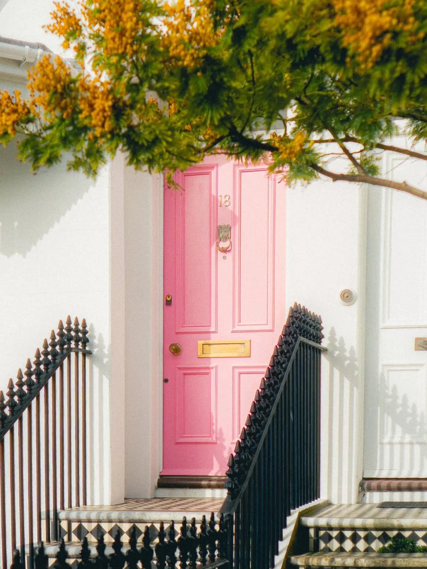 Beginning of Spring 🌸🌱
&bull;
&bull;
&bull;
&bull;
&bull;
#sony #filmphotography #photocinematic #streetphotography #thisisbrighton
