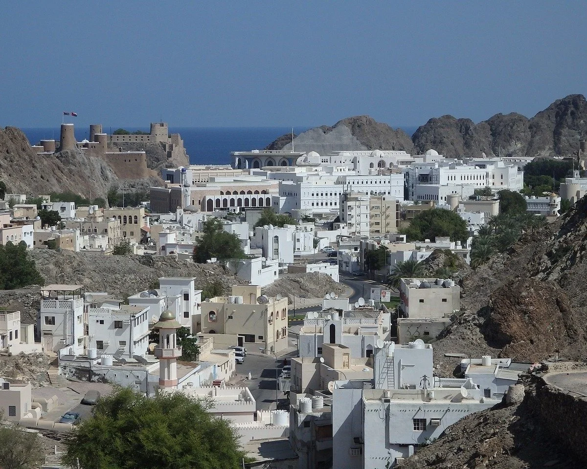 muscat-1119780_1280.jpg