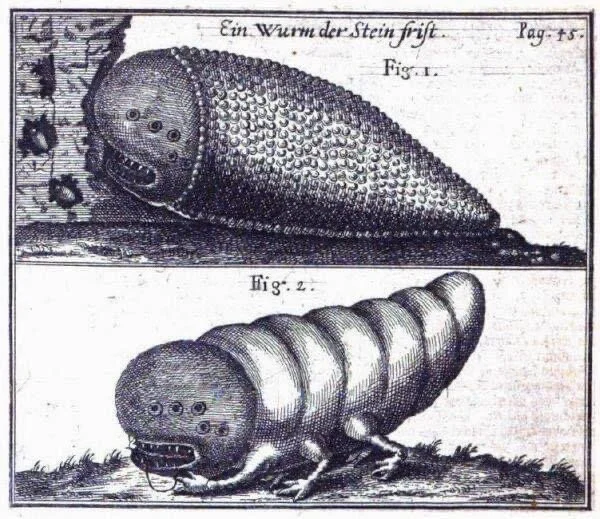 The Shamir Worm — Temple of Miriam