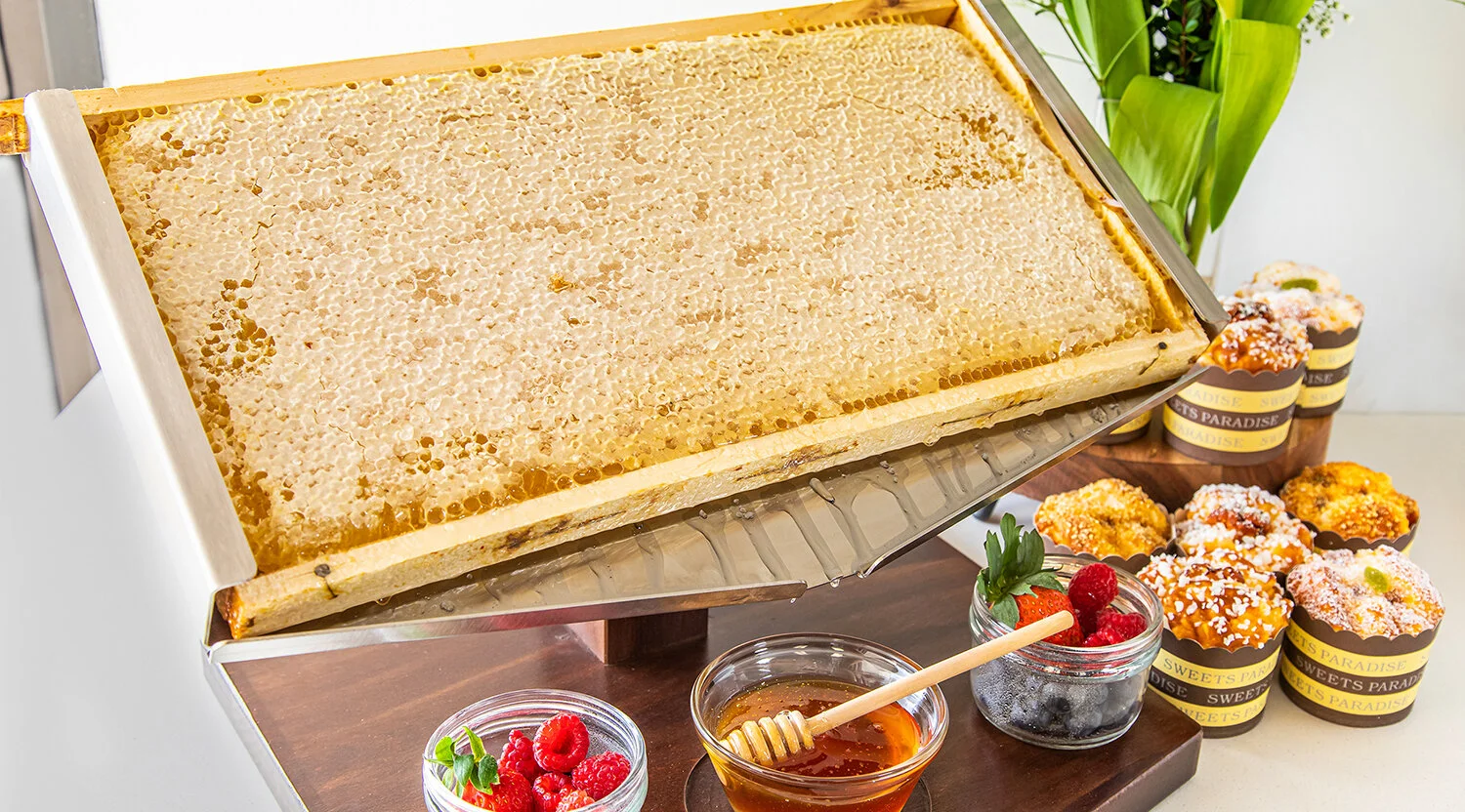 Honeycomb Ashwood s honeycomb-ashwood-s