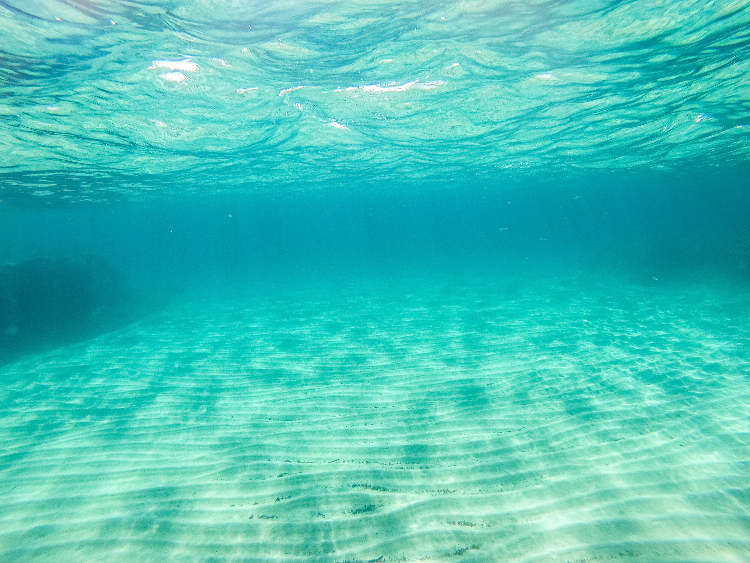 GOPR0772.jpg