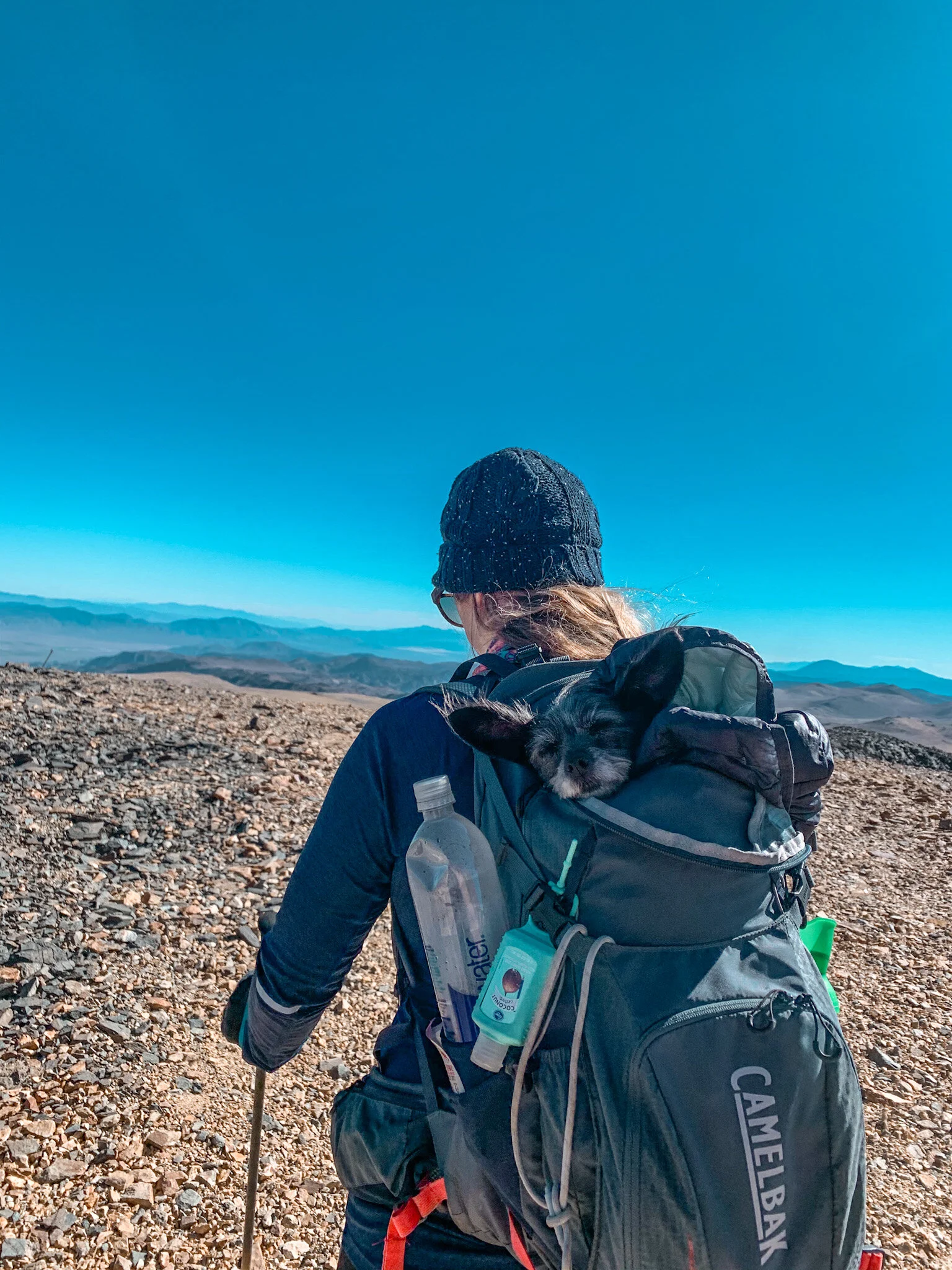 Ralph did a good job hiking 1/2 way!