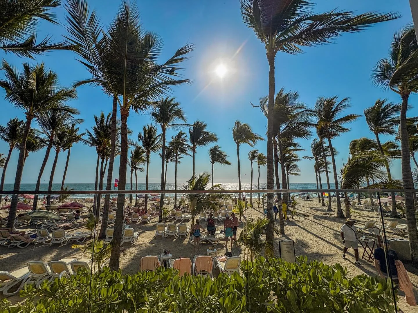 Survived Dallas for several days waiting out the cartel / government dispute, and got to enjoy Mexico for less than 48 hours. It is indeed a vida loca.