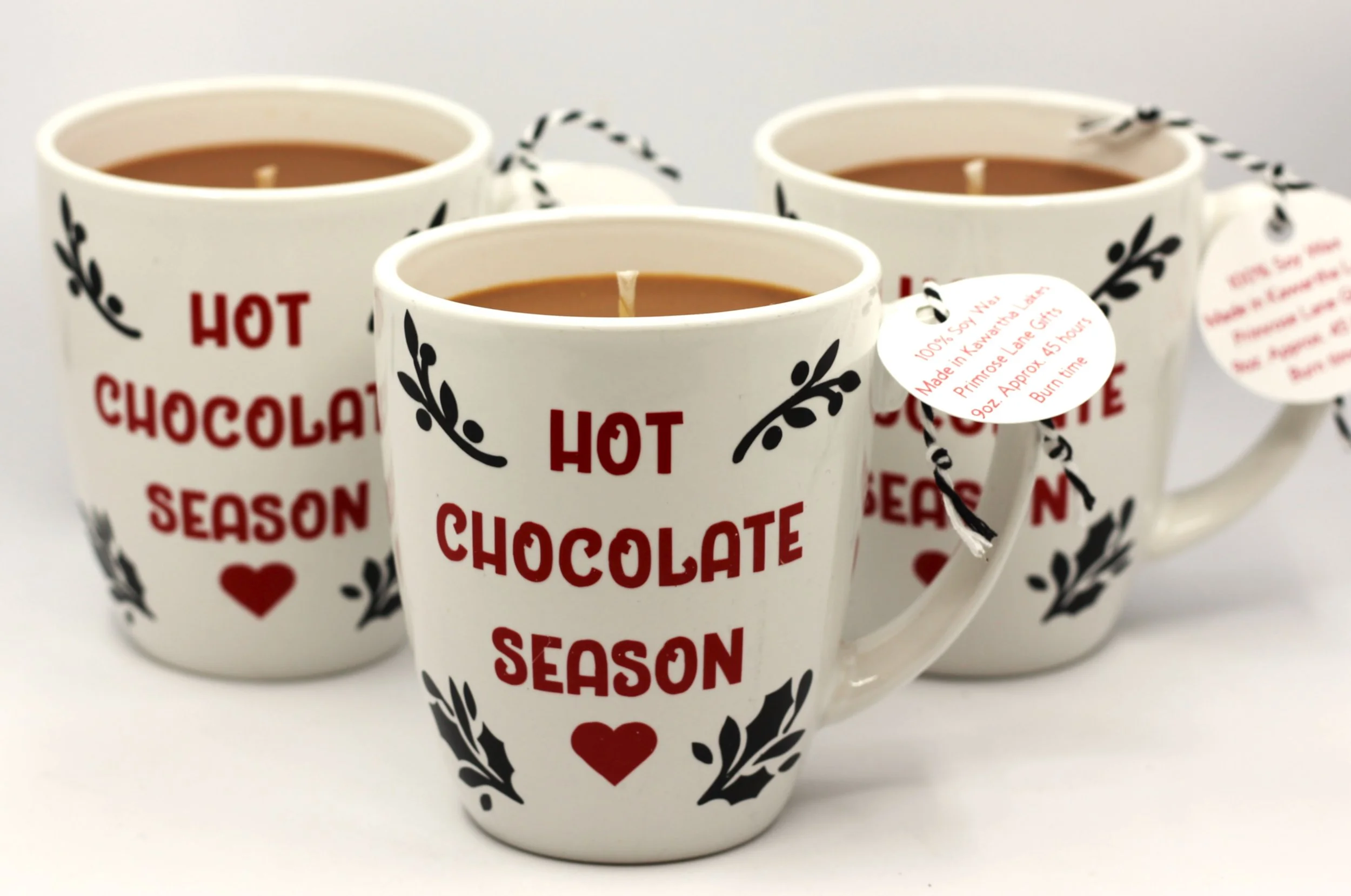 Hot Chocolate Season Mug pic.JPG