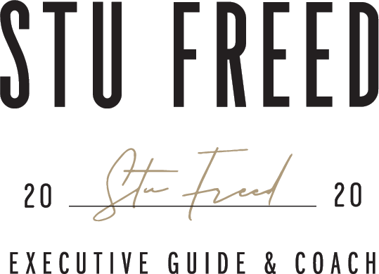 STU FREED CONSULTING