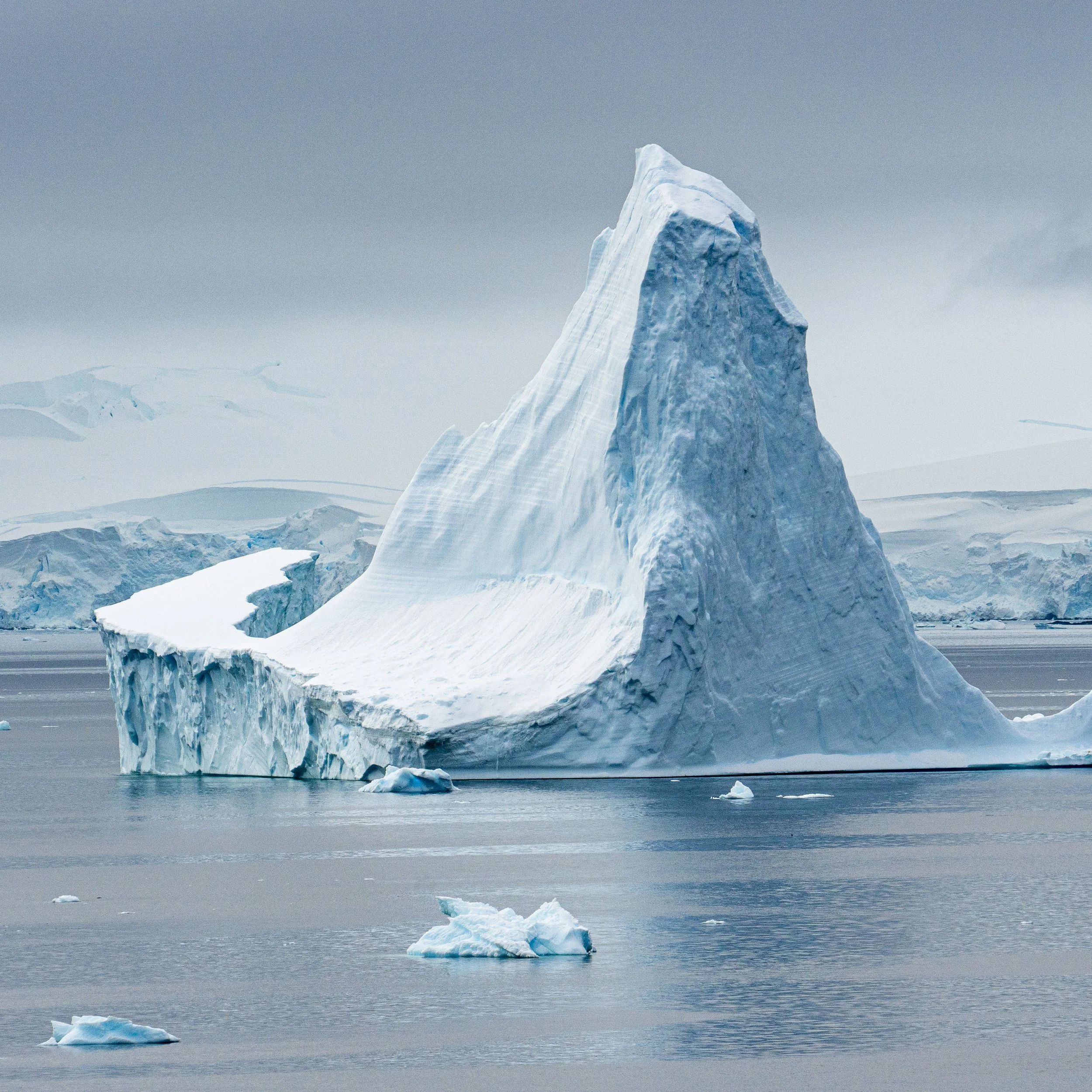 It’s the Holiday Season…