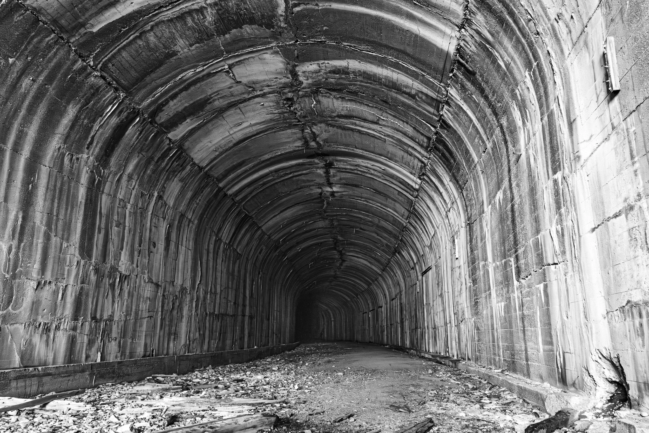 How Healthy is Your Organization?