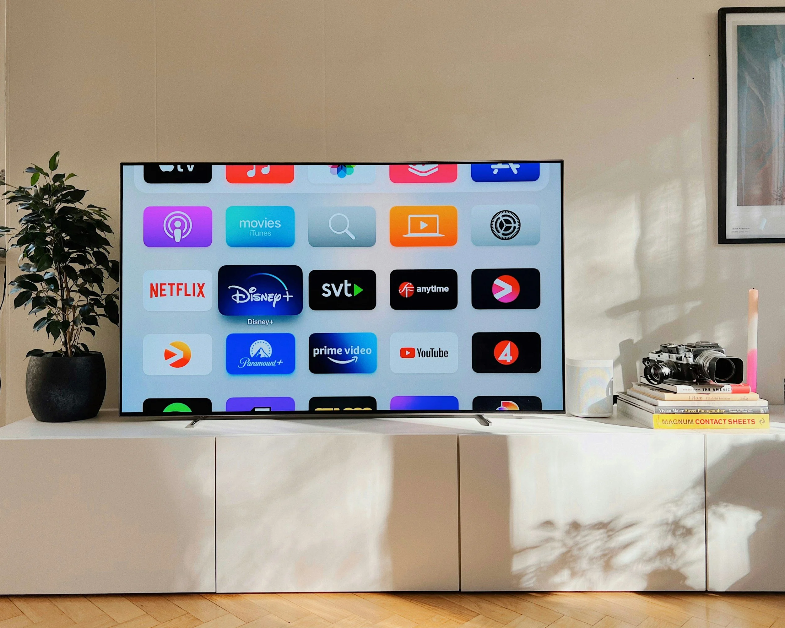 A flat-screen television on a white cabinet displaying a menu with a row of app icons including Netflix, Disney Plus, and YouTube. To the left of the TV is a potted plant with green leaves. To the right of the TV, a small collection of books, a camera, and a white cup are on the cabinet, with a stack of colorful books underneath. A framed picture hangs on the light-colored wall behind.