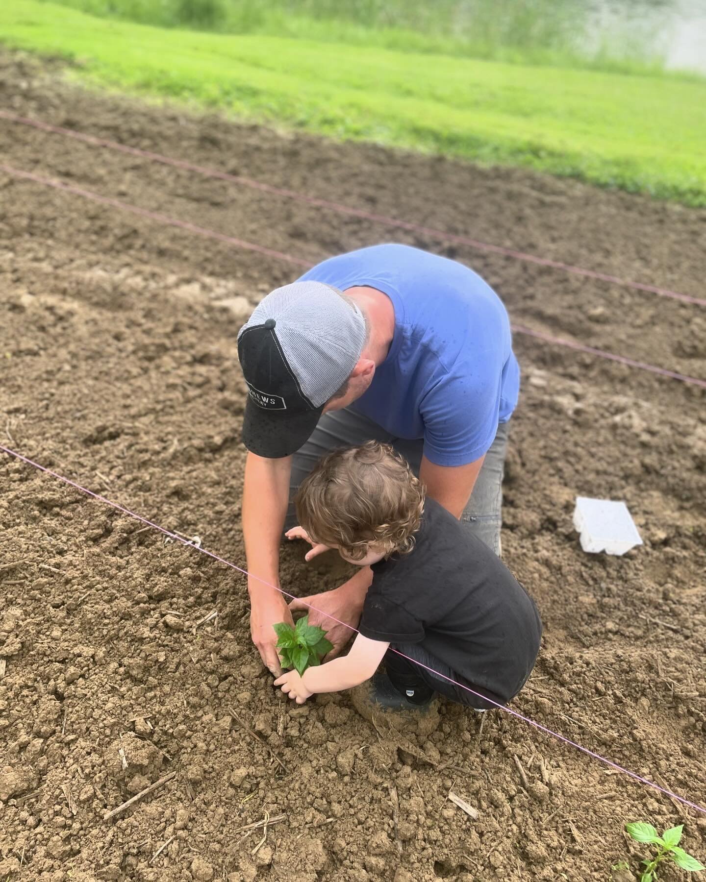 Quick little crop rotation 🔄 the area by our pond has been flowers since 2020 and due to adding compost and soil&hellip;.the weeds are invasive and aplenty. We are changing things up and growing flowers only in the hoop houses and u-pick area this s