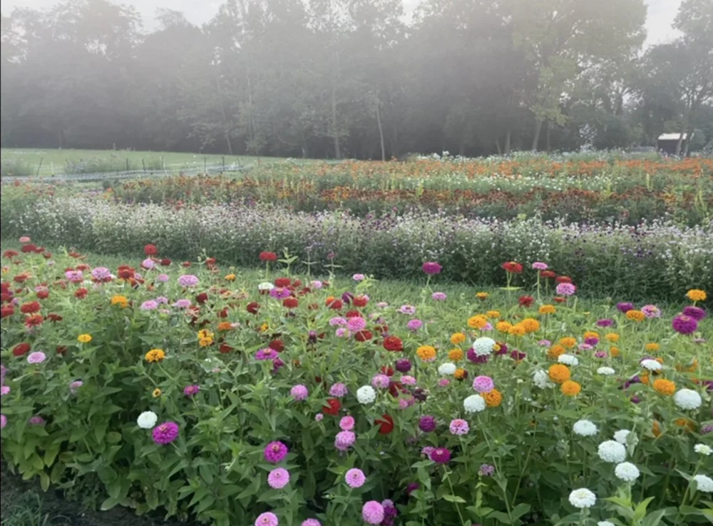 Two Moons Farm