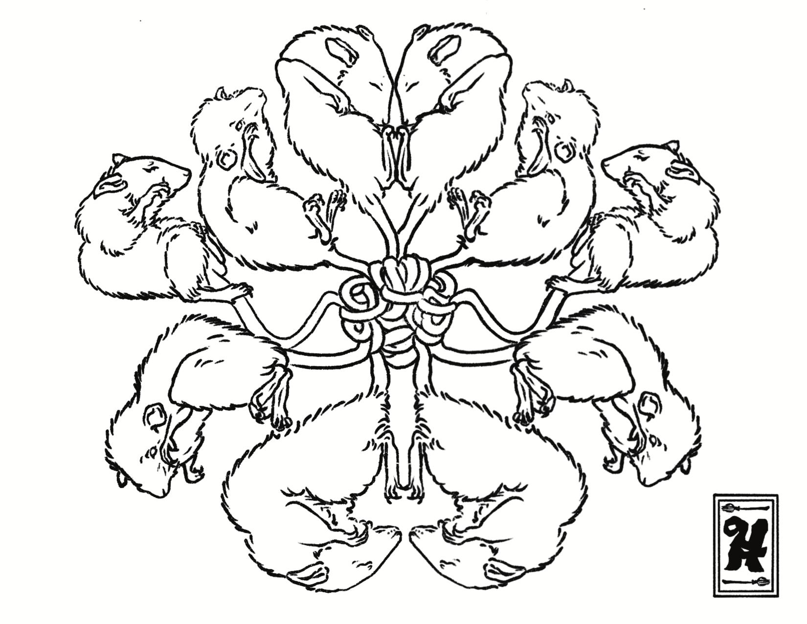 IMG_5683.png