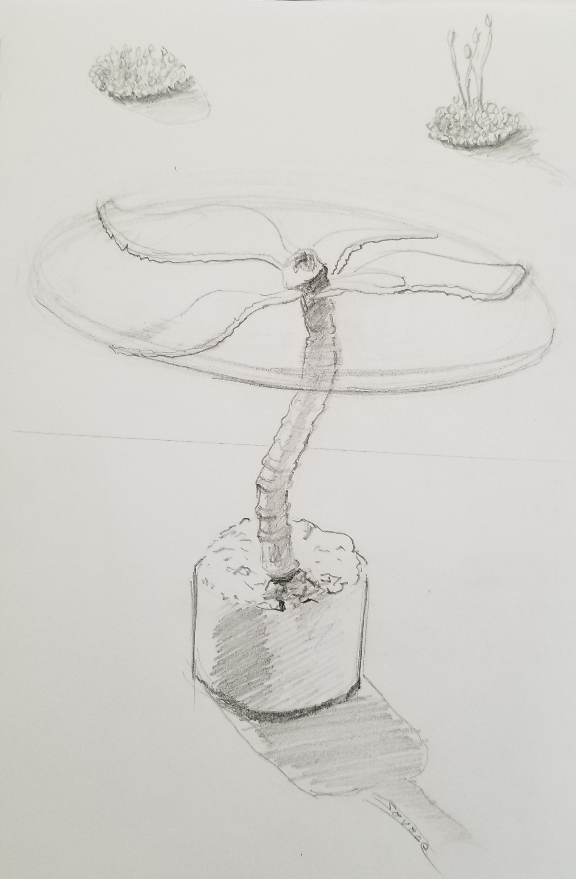 Hand sketch for side table
