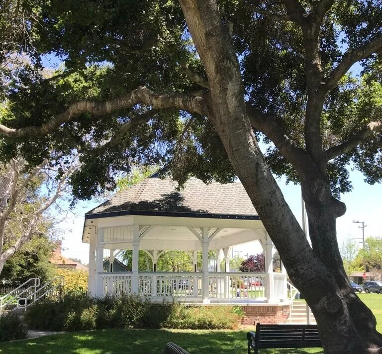 Gazebo.jpeg