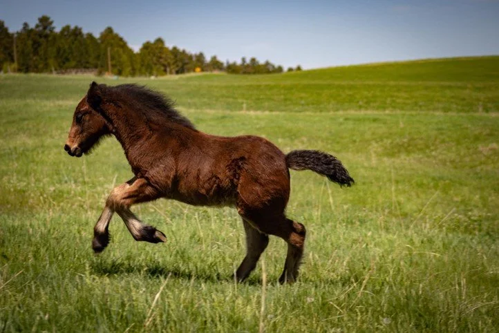 3rd - Kathi Buescher