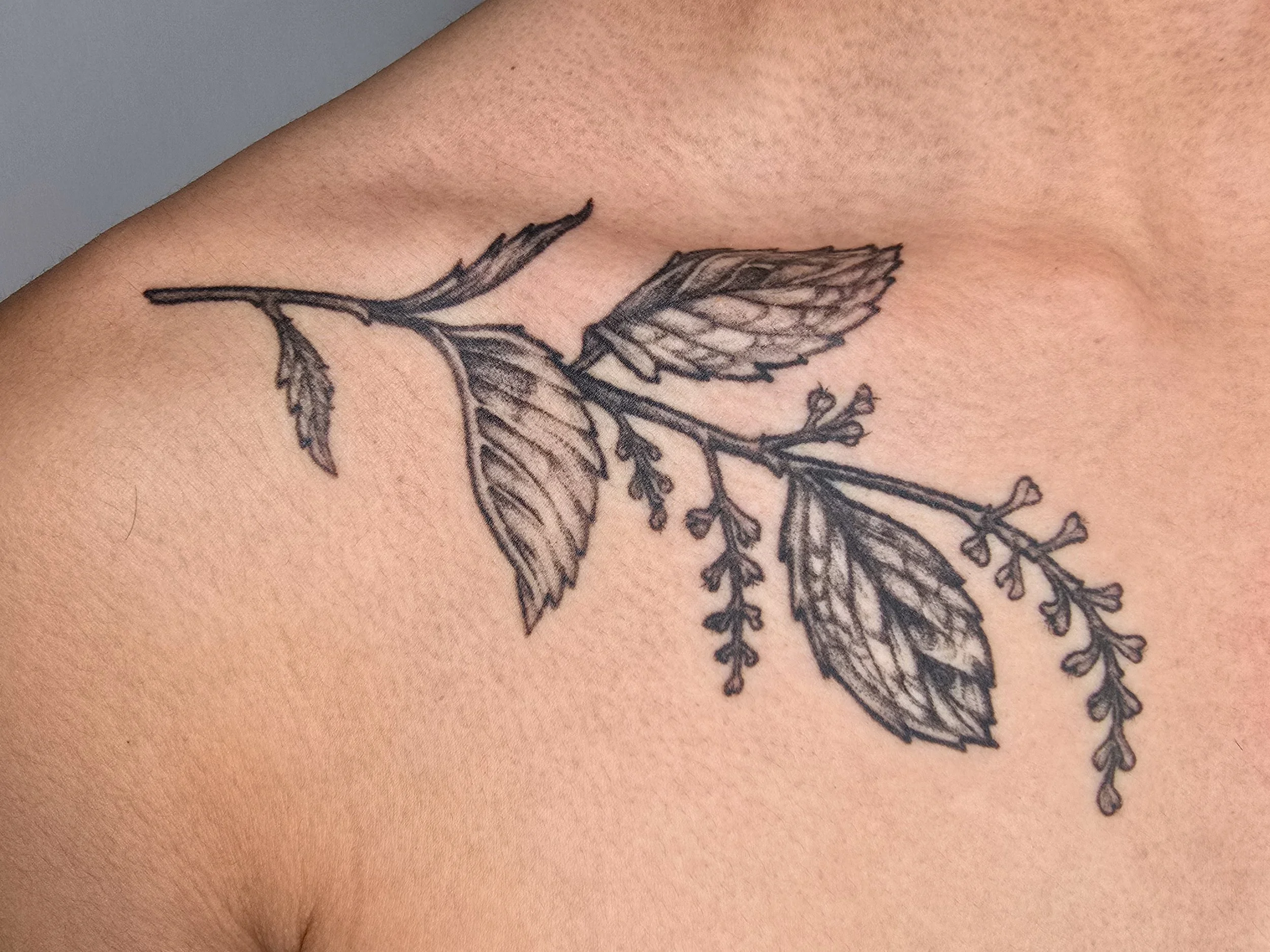 20241130_185815 (2).jpg