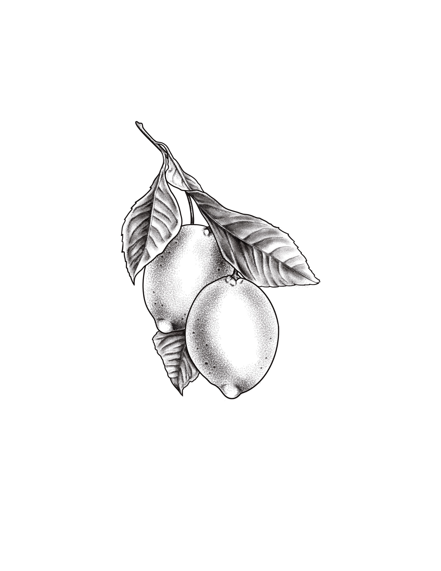 Lemons