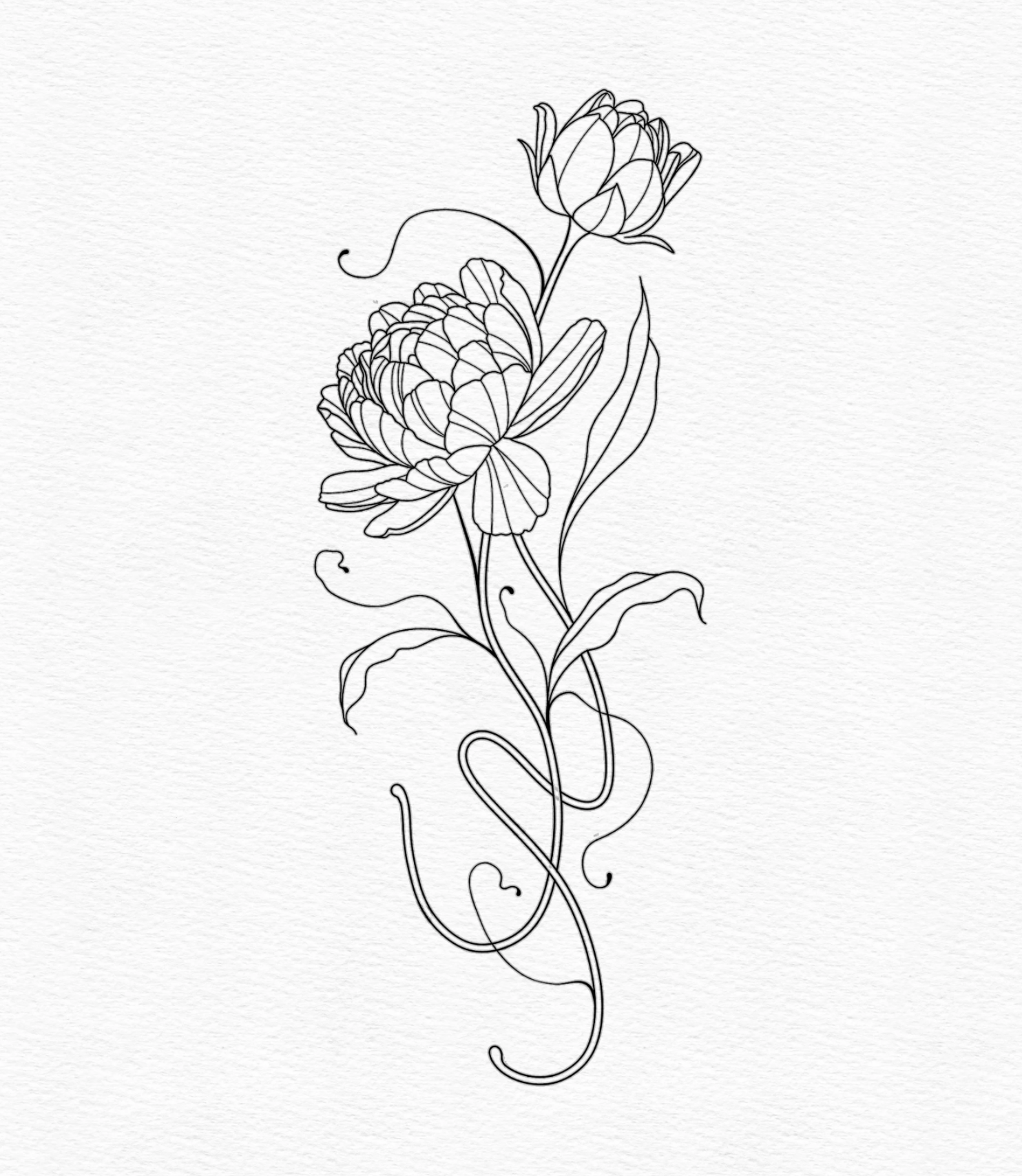 "PEONIES"
(Minimum size 6" x 2")
Non-repeatable.