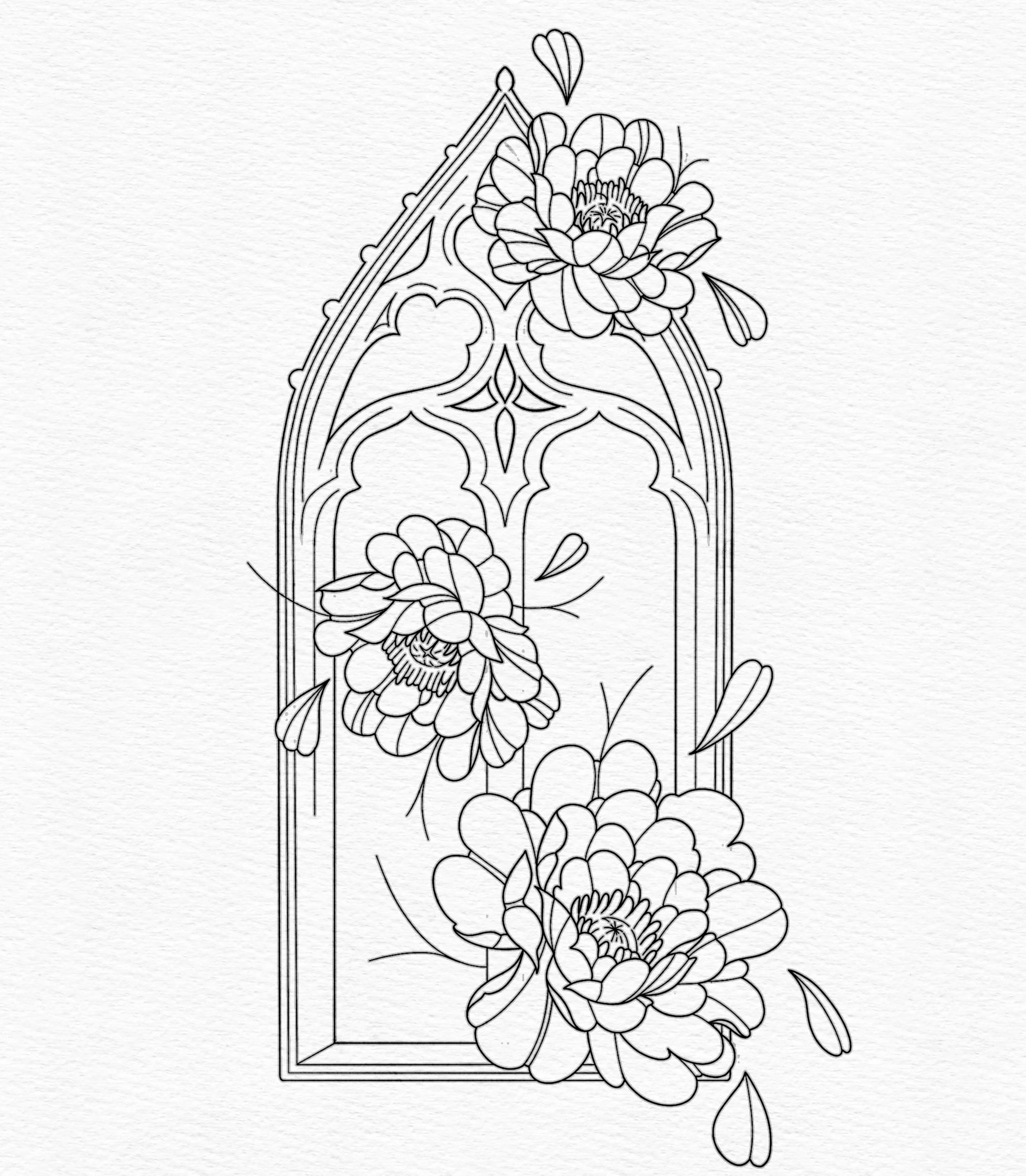 Window
