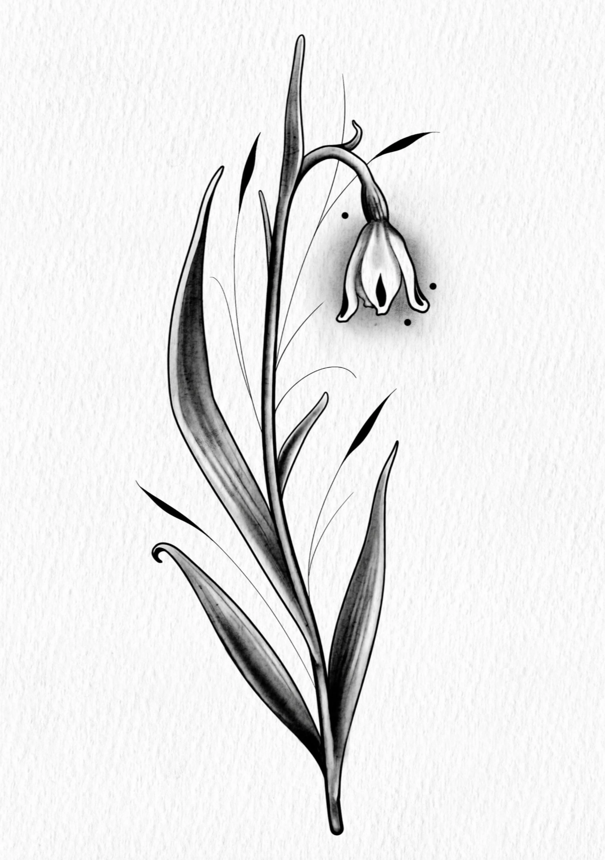 "SNOWDROP 1"
(Minimum size 2” x 5”)
Non-repeatable.