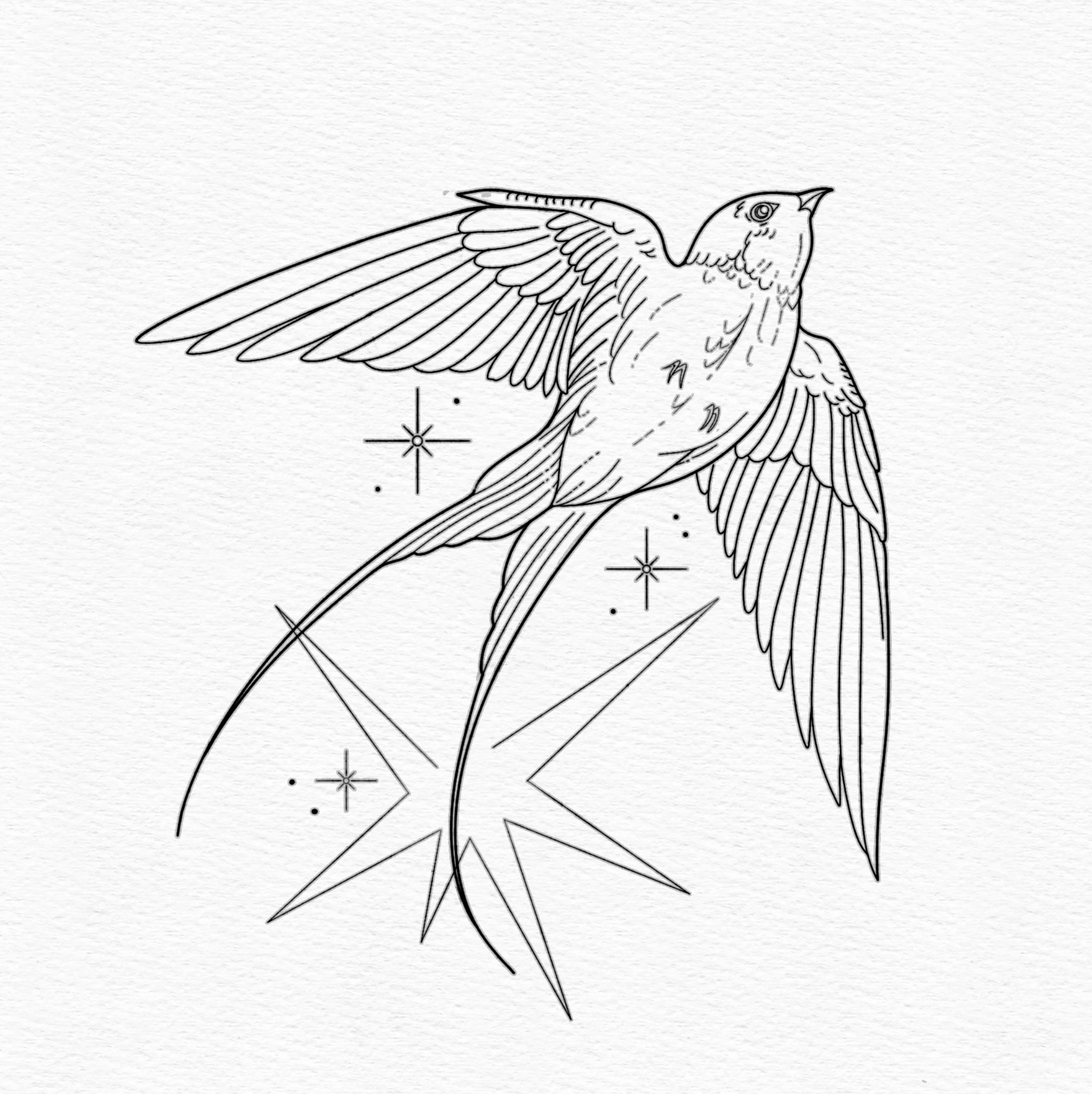 "SWALLOW"
Minimum size 5" x 4.5"
Non-repeatable.