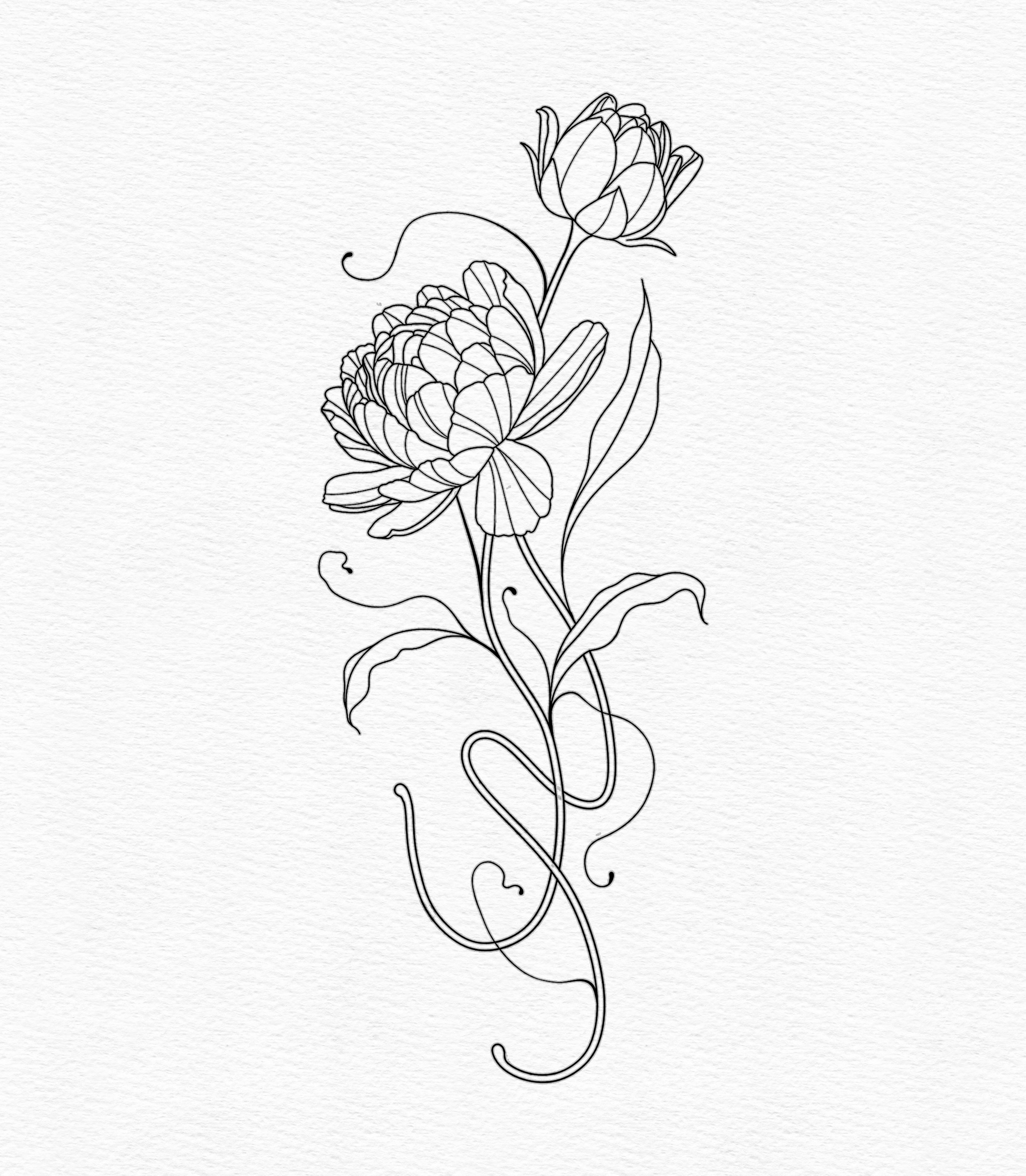 Peonies.jpg