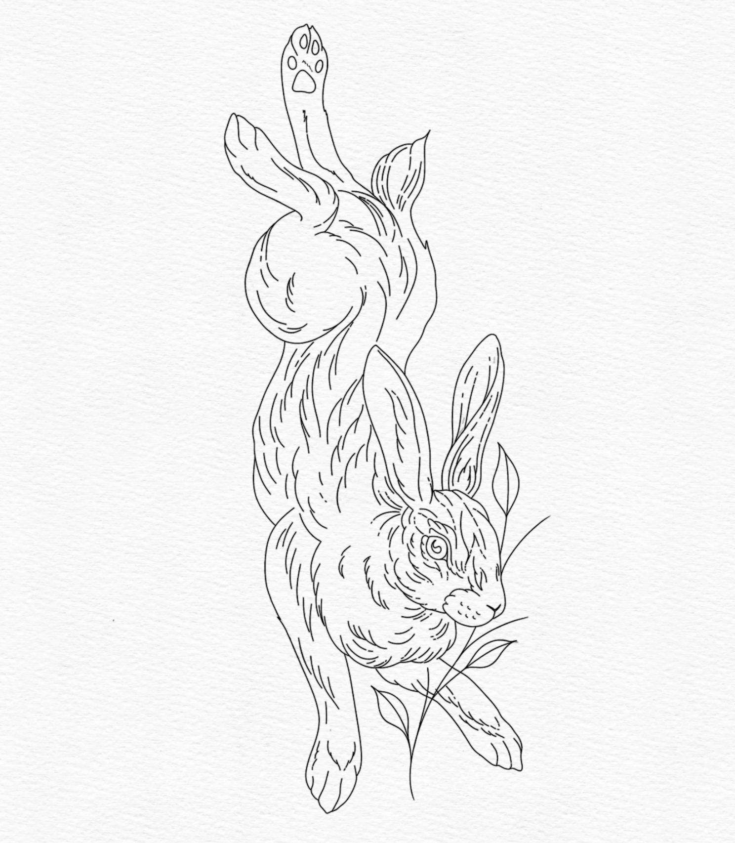 "RABBIT"
(Minimum size 5.5" x 3")
Non-repeatable.