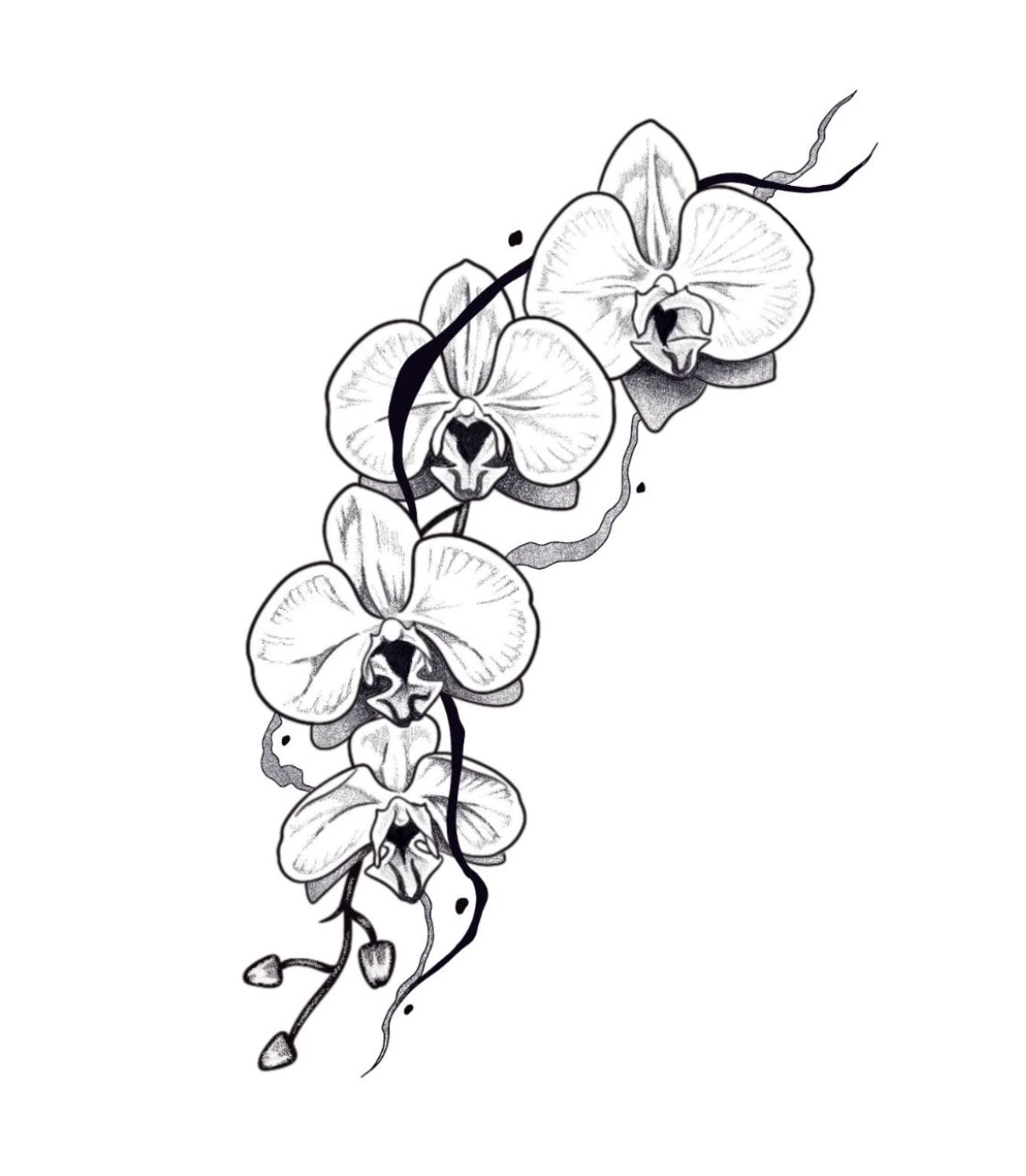 "ORCHIDS"
(Minimum size 5” x 2”)
Non-repeatable.