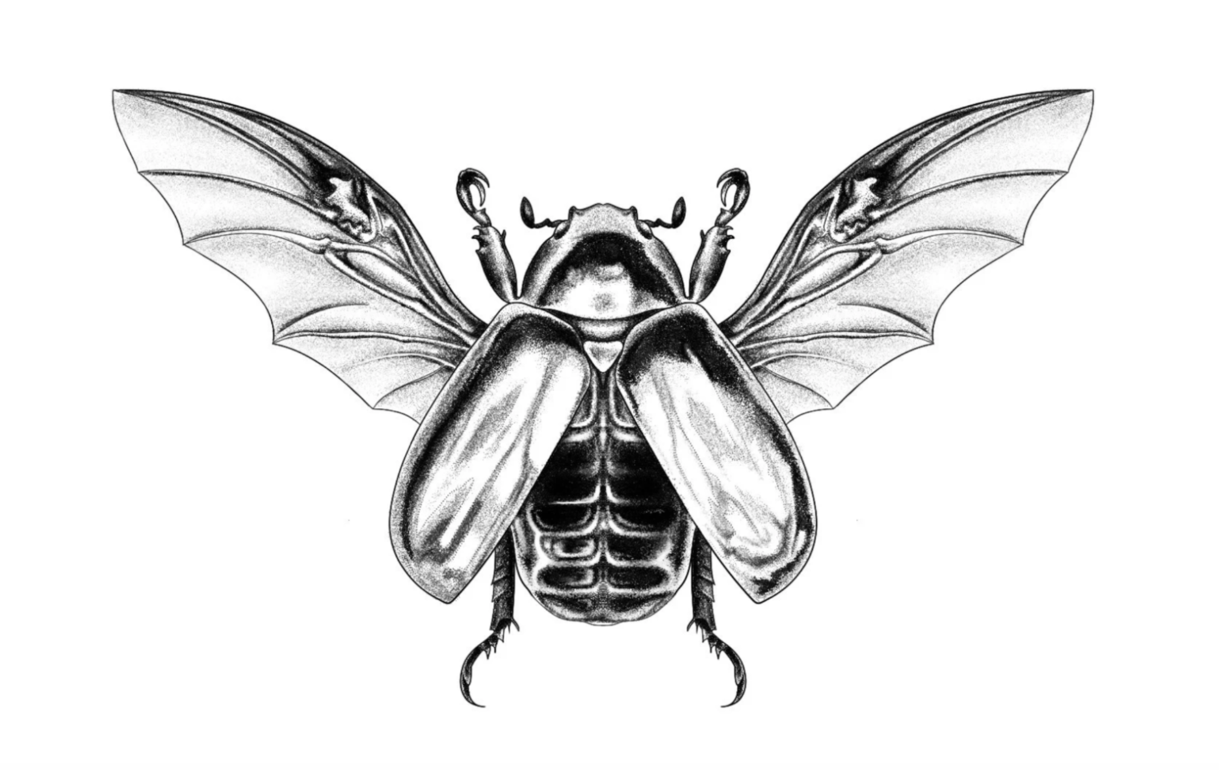 "JEWEL BEETLE 1"
(Minimum size 4" x 2")
Repeatable.