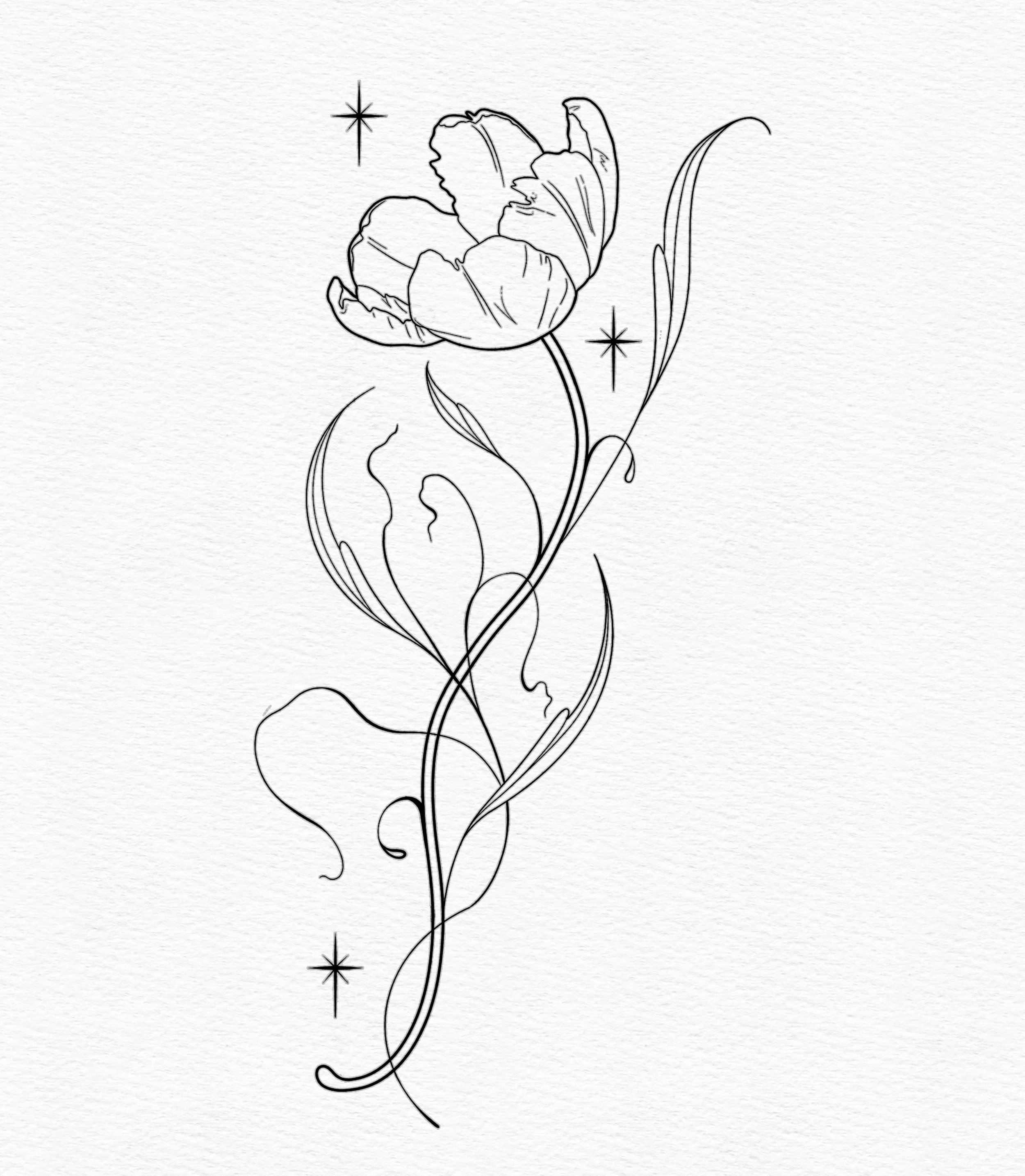 Tulip.jpeg