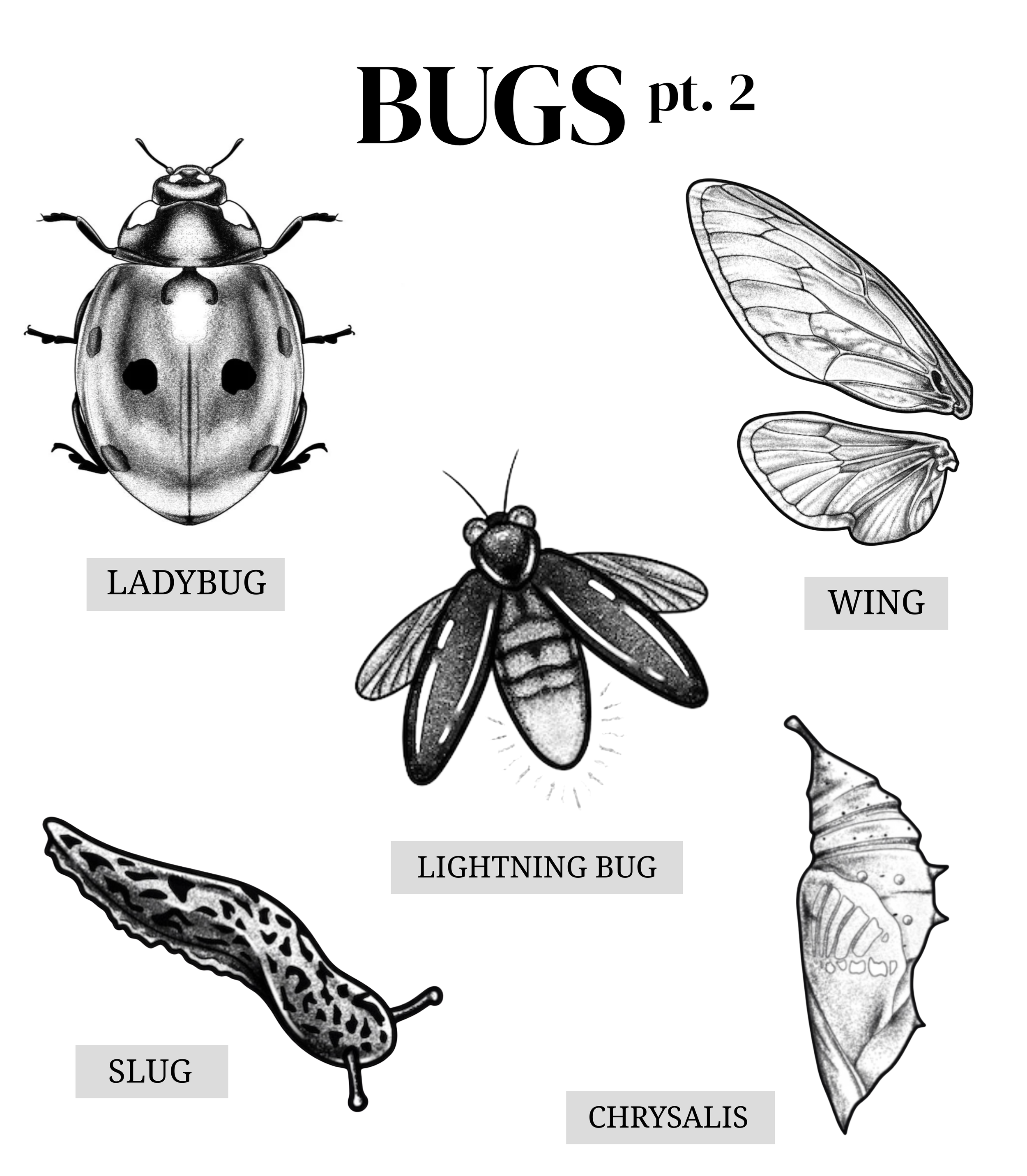 "BUGS pt. 2"
Repeatable.