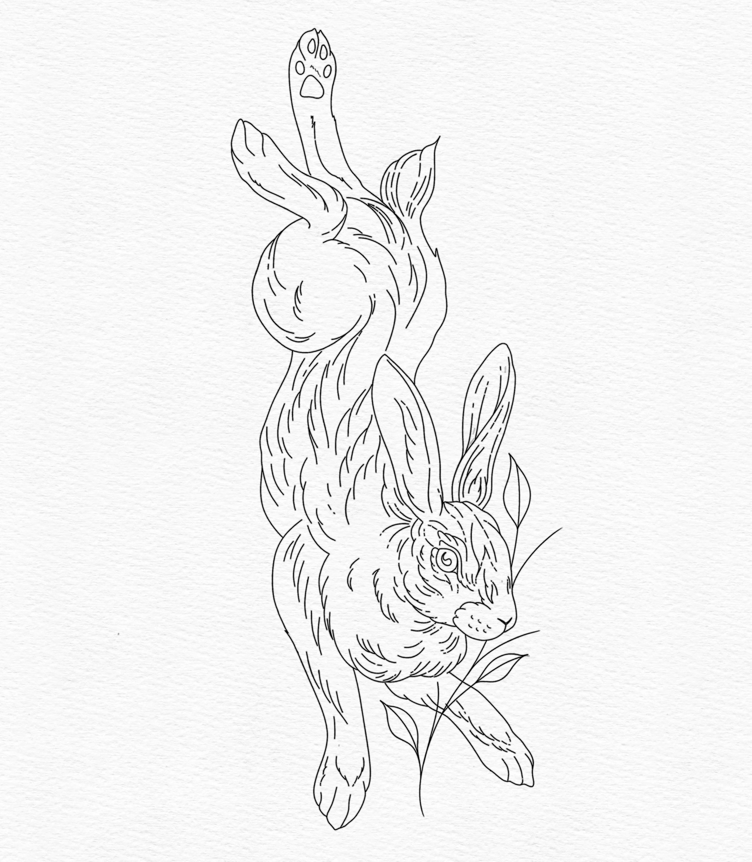 Rabbit.jpeg