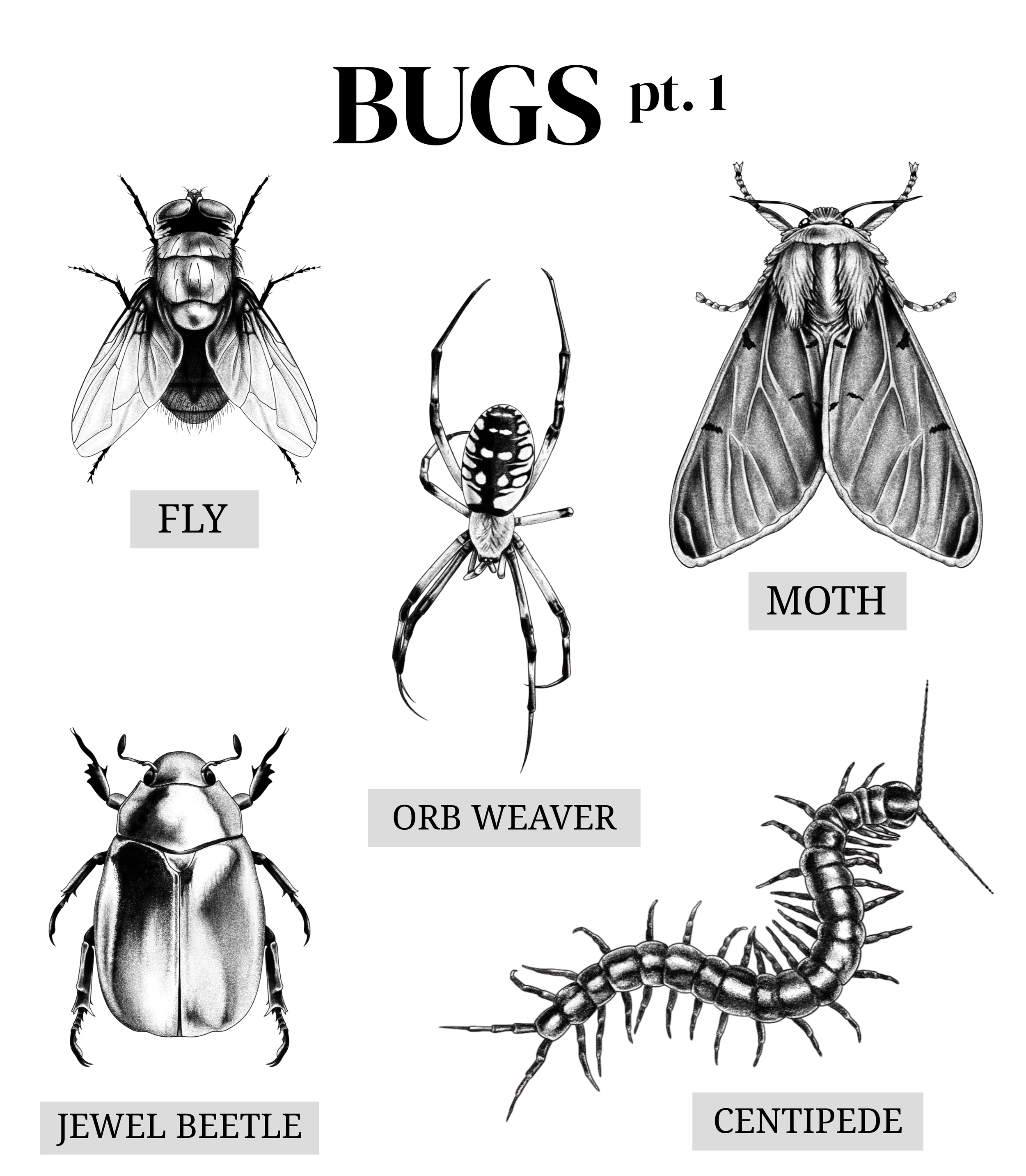 "BUGS pt. 1"
Repeatable.