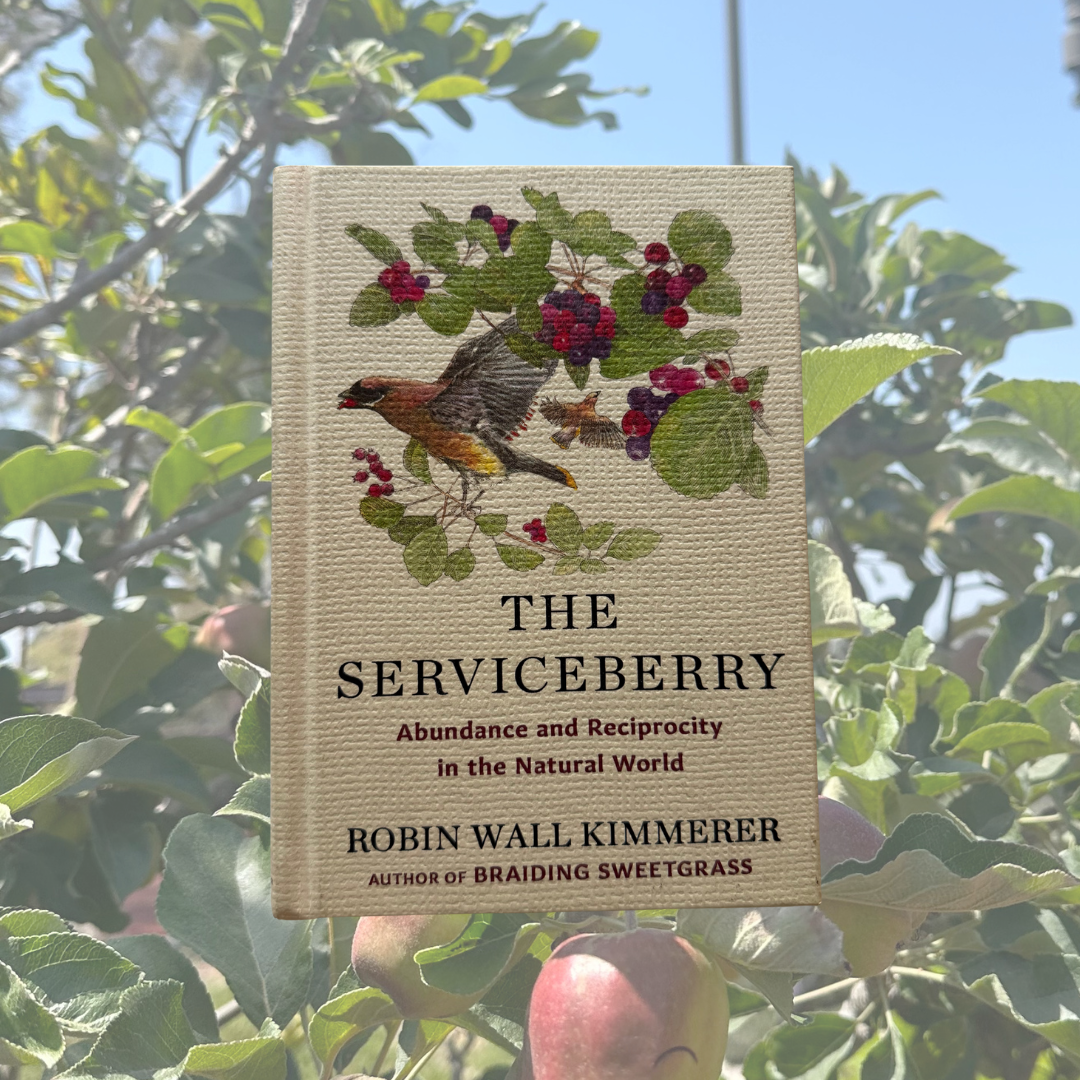 The Serviceberry (Pre-Owned)