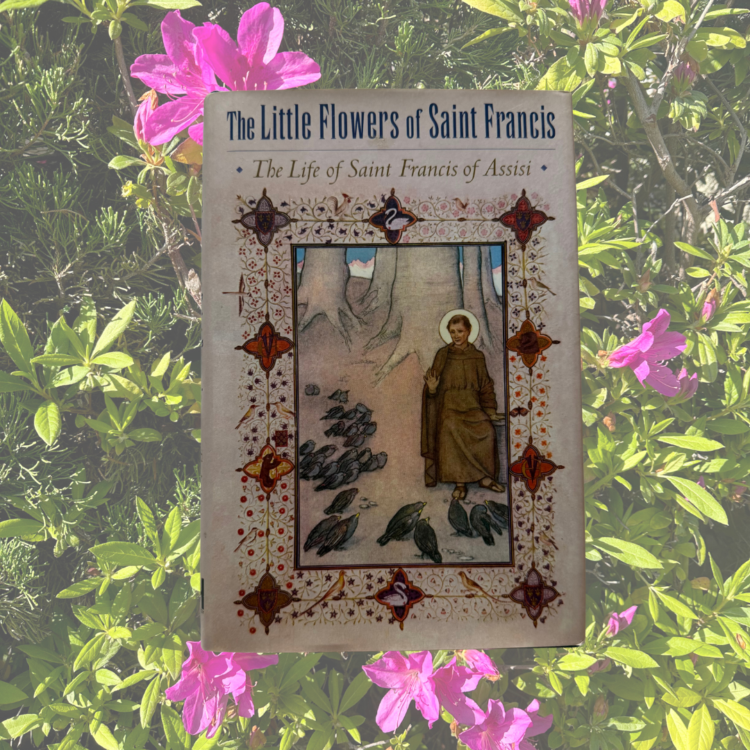 Books for spikedholywater-6.png