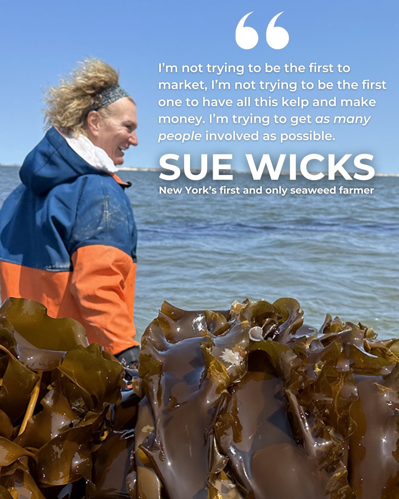 Meet SUE WICKS&mdash;the woman pioneering commercial kelp farming in New York! 🌿⁠
⁠
🏀 A former pro basketball player in the WNBA, Sue&rsquo;s been farming oysters for seven years and is now the first and only kelp farmer in the state. ⁠
⁠
Her compa
