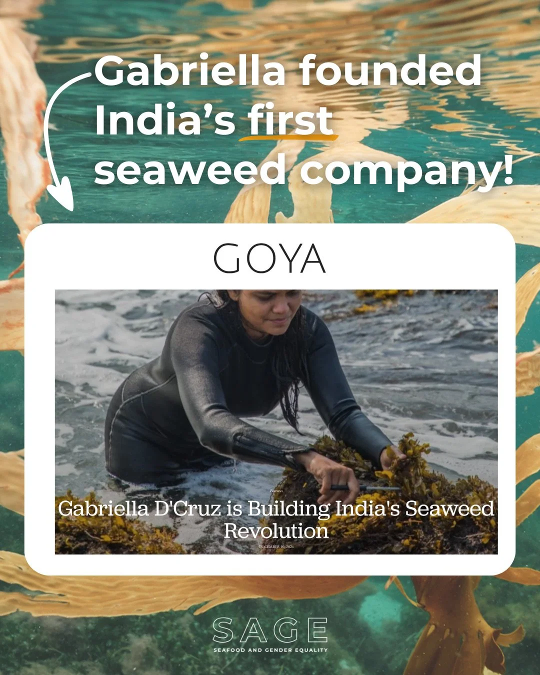&ldquo;In the seaweed forests I work in, everything is happening on its own time. ⁠
⁠
Only when the tide is right can you harvest the seaweed. 🌿⁠
⁠
Until then, you just have to be patient. Living on this time has made me slow down, appreciate my tim