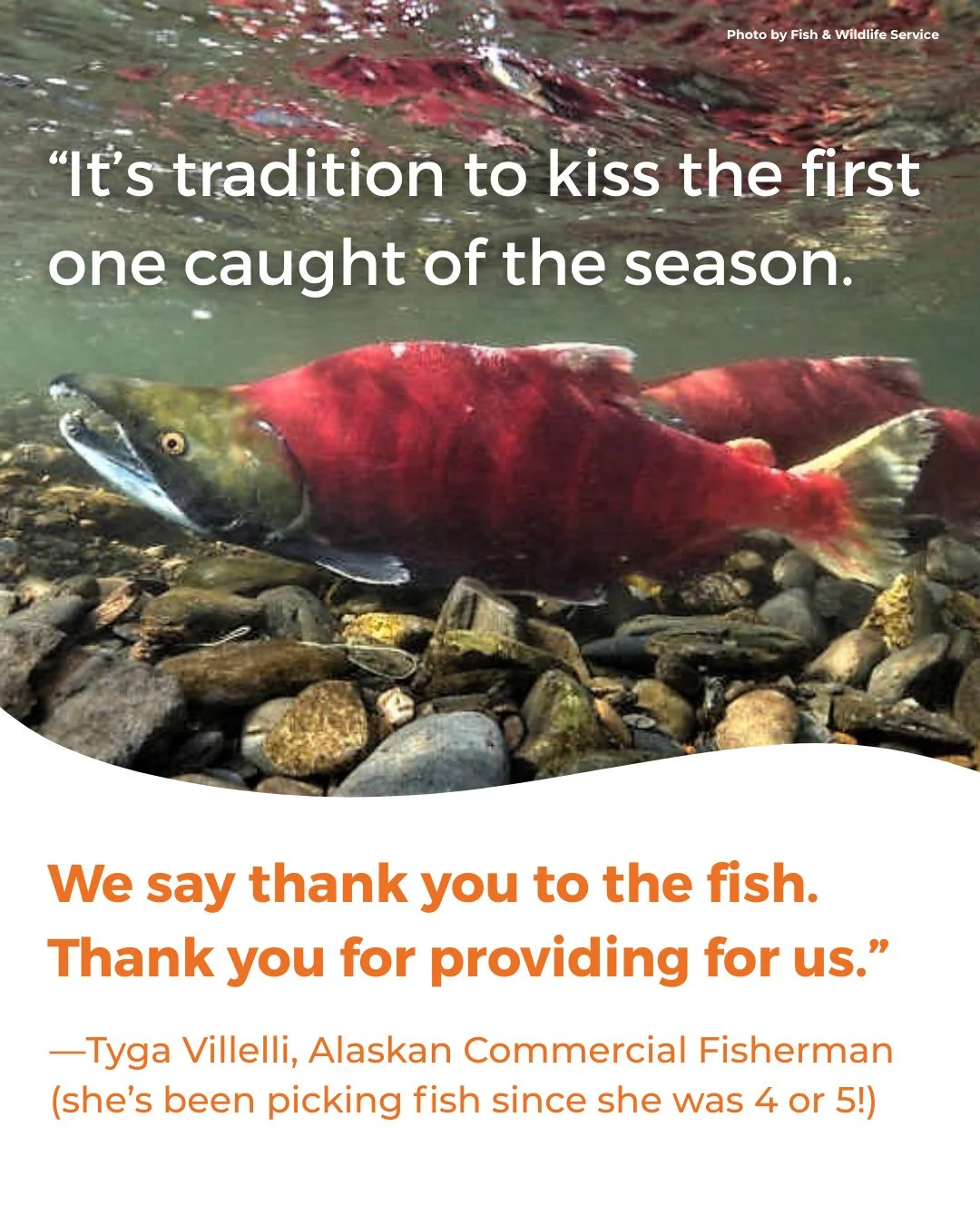 In Bristol Bay, summer means fish camp&mdash;and that first special kiss of the season! 💋 ⁠
⁠
Families build their homes on the beach for the season, and kids grow up waist-deep in sockeye. ⁠
⁠
Even if dinner isn&rsquo;t until 2 a.m., everyone eats 