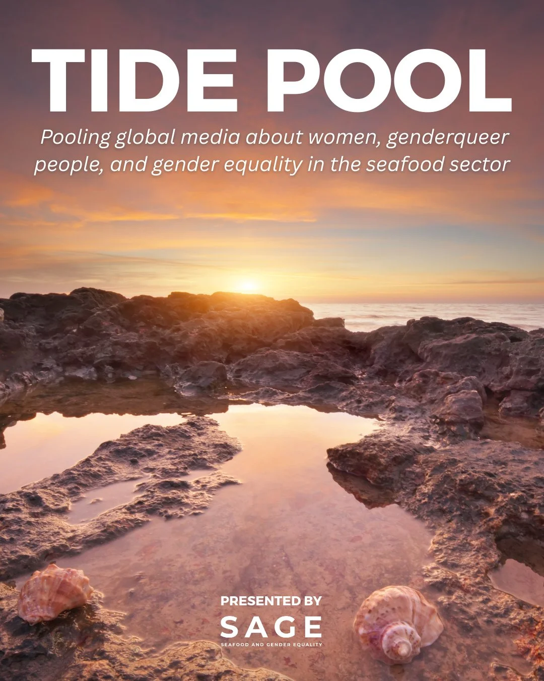 We&rsquo;re excited to launch 𝗧𝗜𝗗𝗘 𝗣𝗢𝗢𝗟, a reimagining of the WATCH publication created by Women in Seafood! ⁠
⁠
When WATCH ended, it left a gap in how gender equality in seafood was tracked and presented in global media. ⁠
⁠
Tide Pool exists